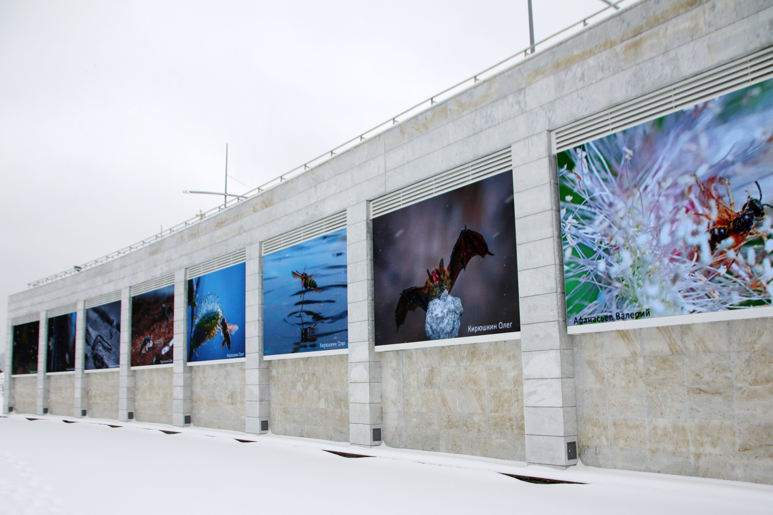 29.03.2022 Выставка «Культ Про Свет». Фотообъединение Самарского областного отделения Союза журналистов России