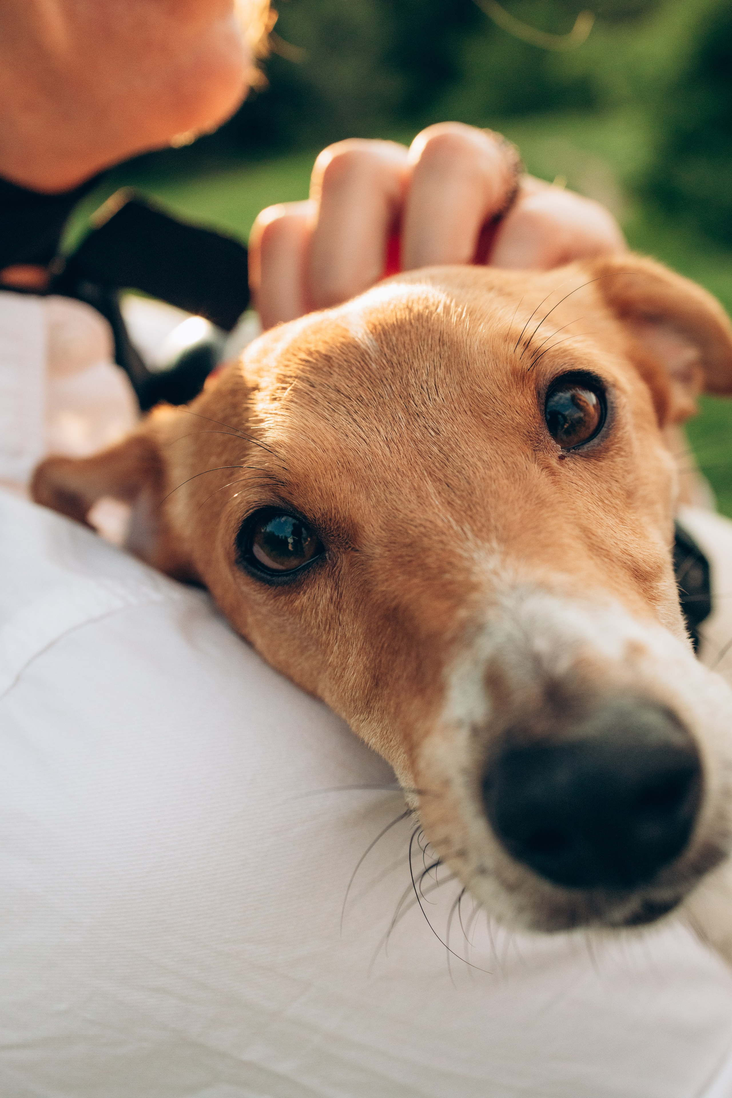 Семейная прогулка в парке. Семейный фотограф Наталия Демченко, Краснодар