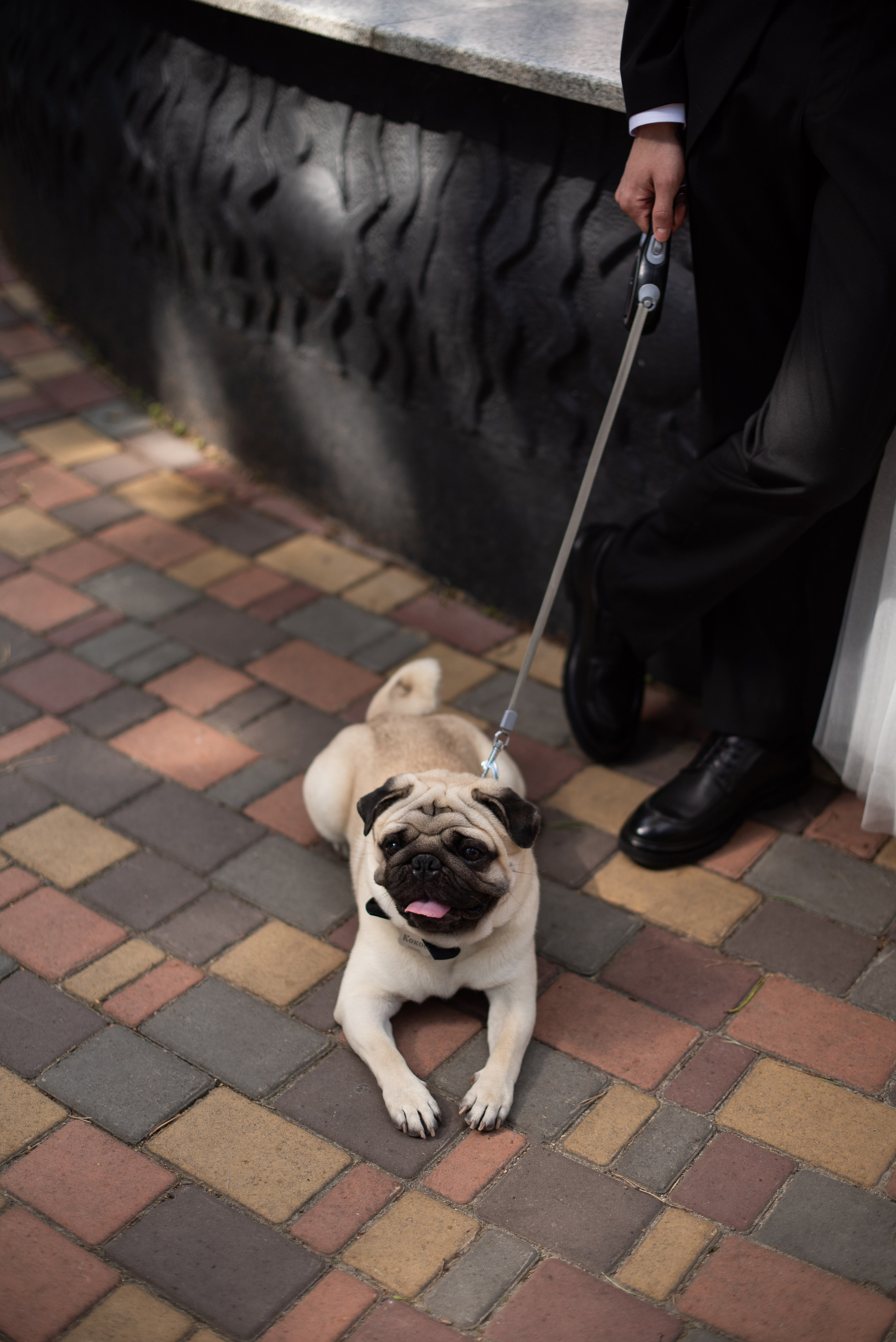 05.07.25. Свадебный фотограф в Миассе Татьяна Ружникова
