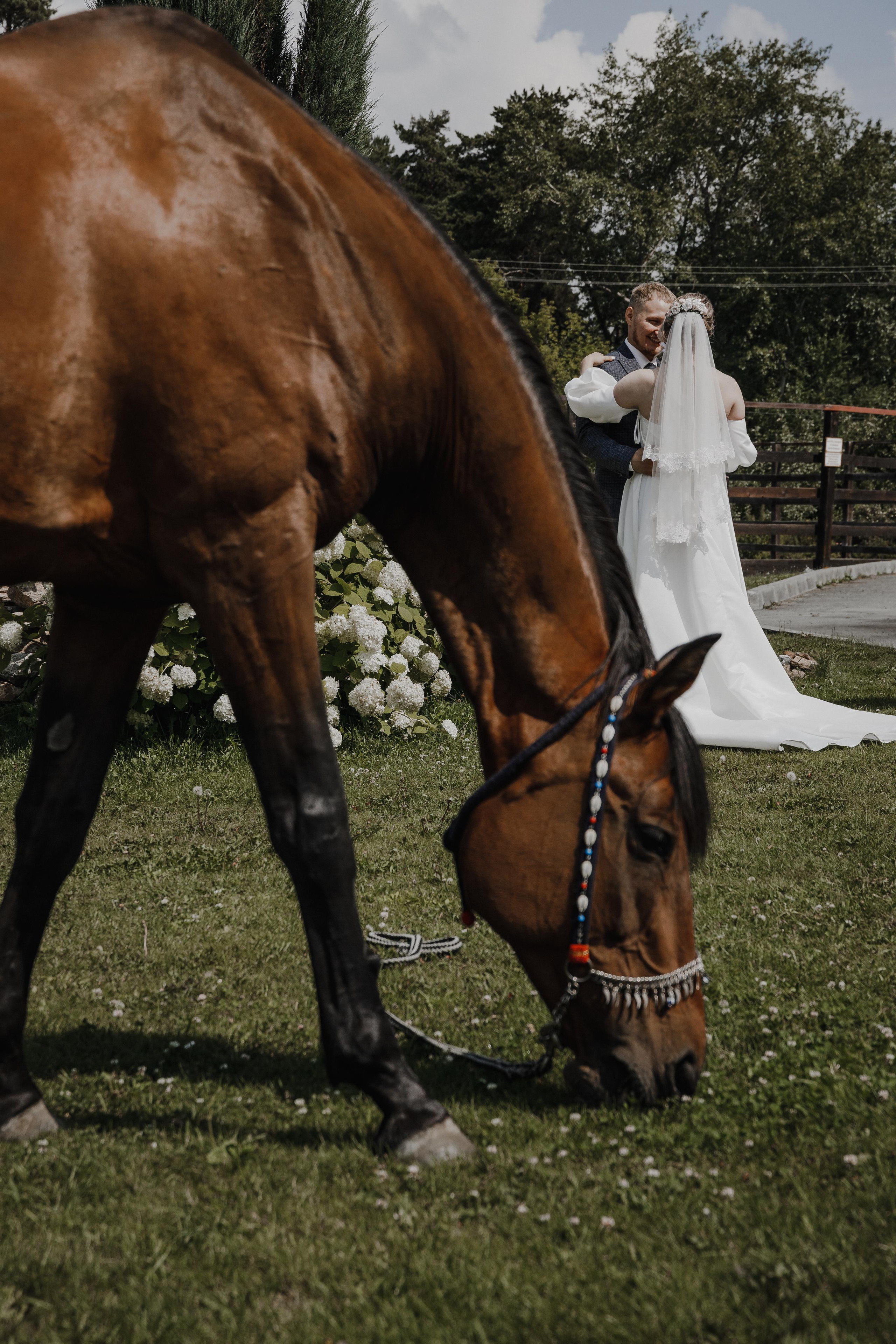 Альберт и Ксюша. Photographer Egypt Photographer Hurgada