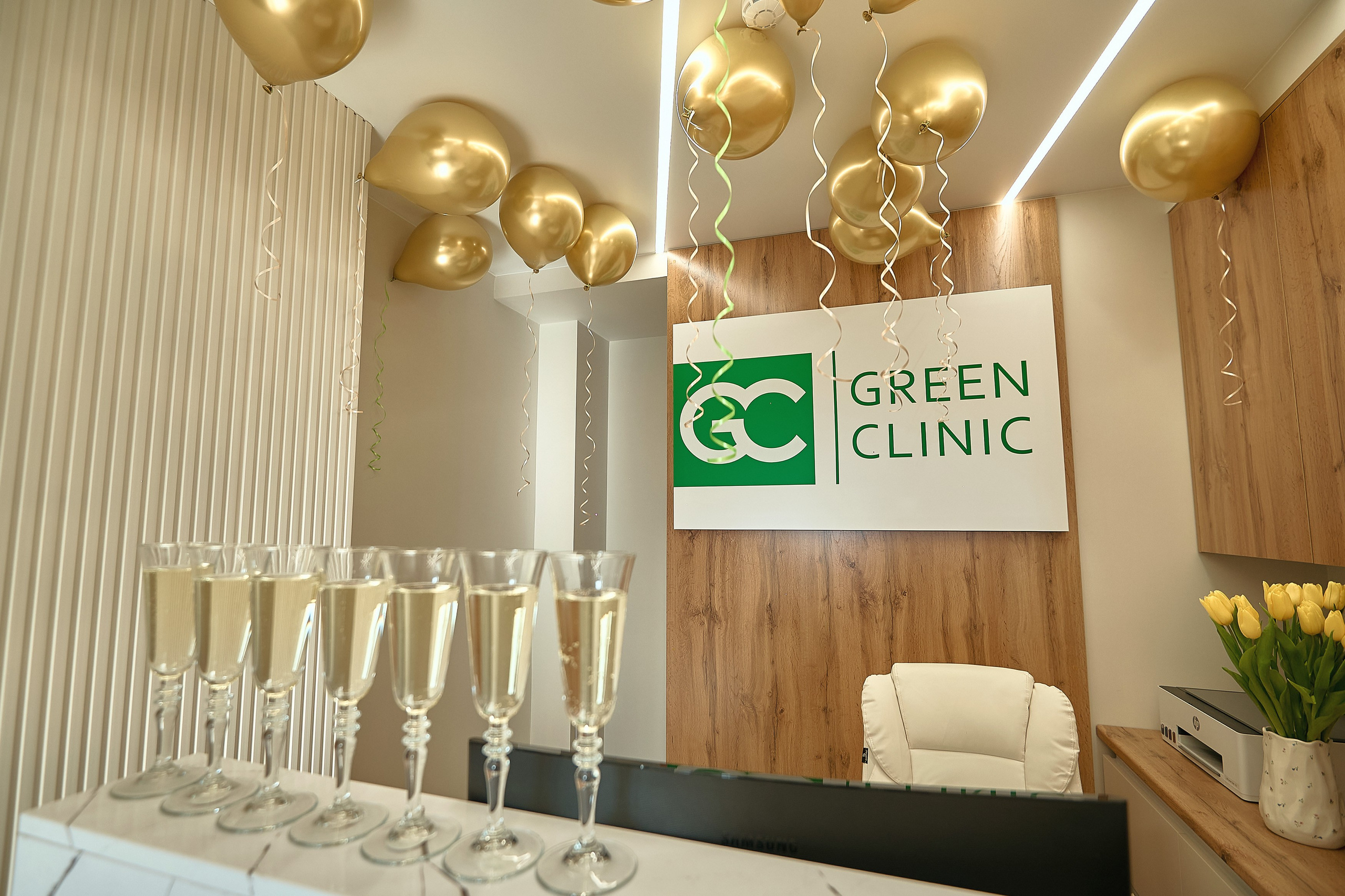 Открытие стоматологической клиники «Green Clinic». Фотограф Яковлев Роман — Красноярск