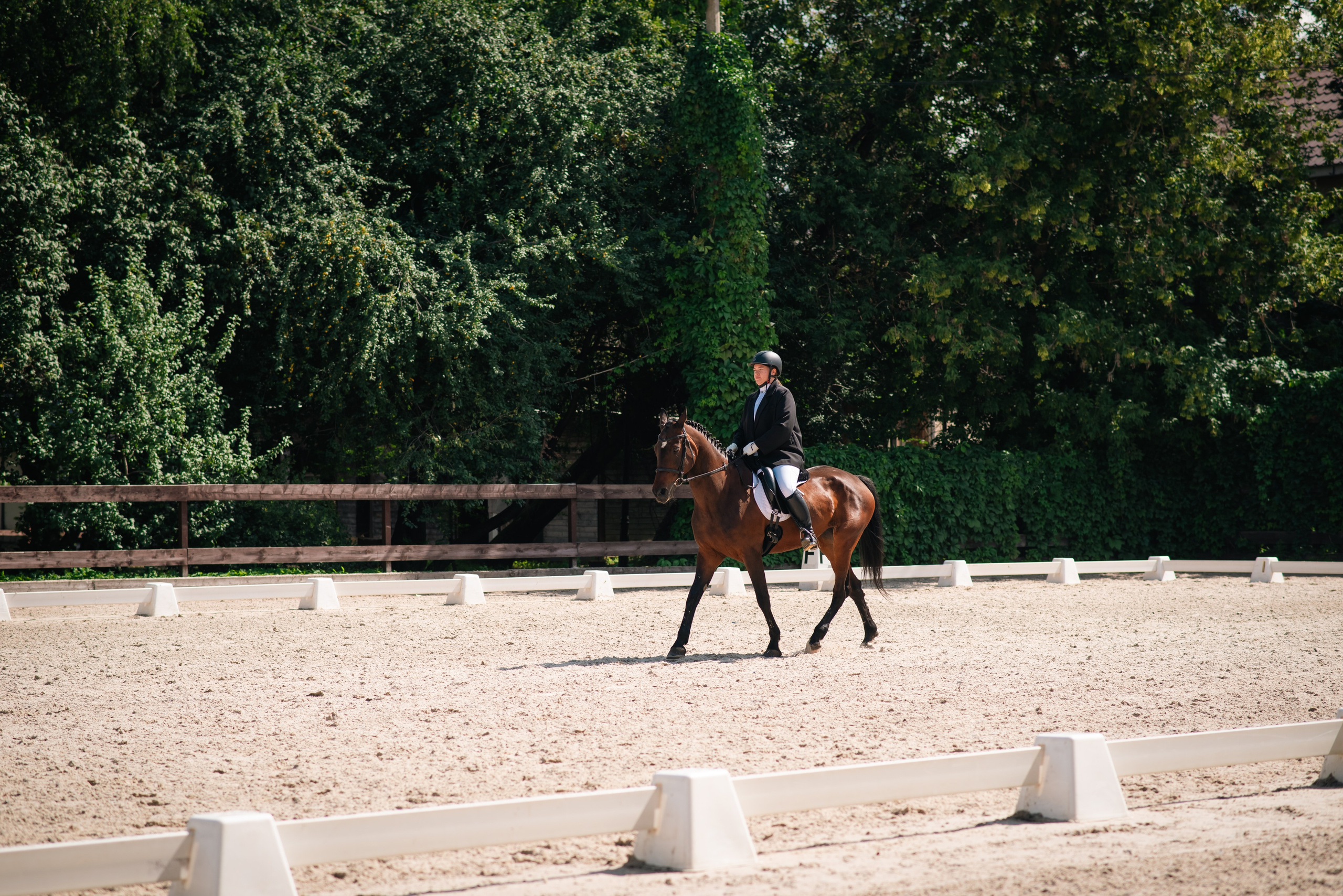 Выездка 10.08.25. Фотограф, визажист. Москва