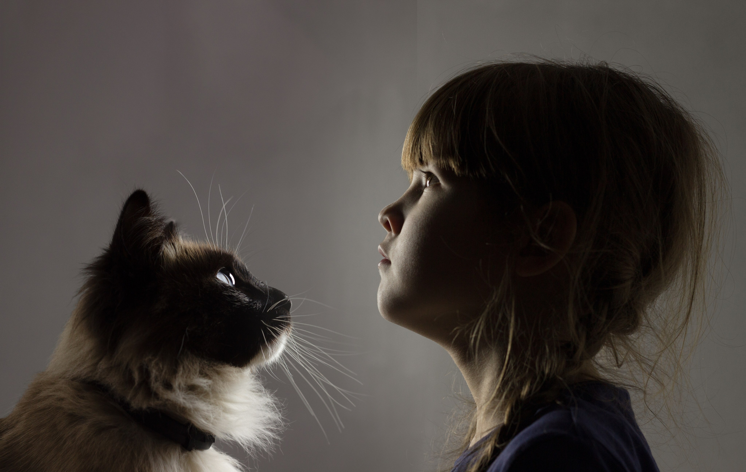 Сергей и Наталья. Фотограф Юлия Левандовская, п.Ясногорск