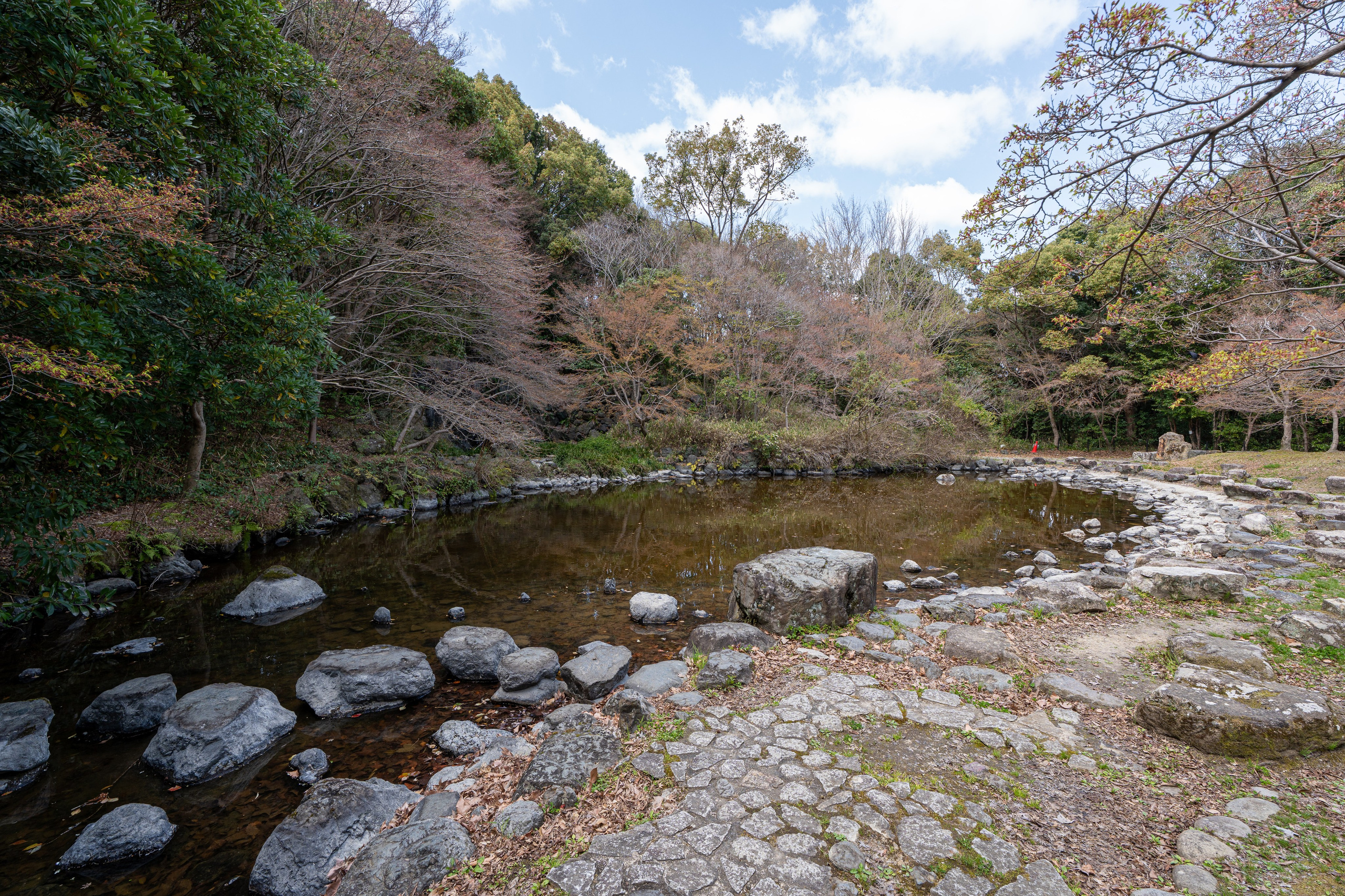 Япония, сакура. Творческие сьемки