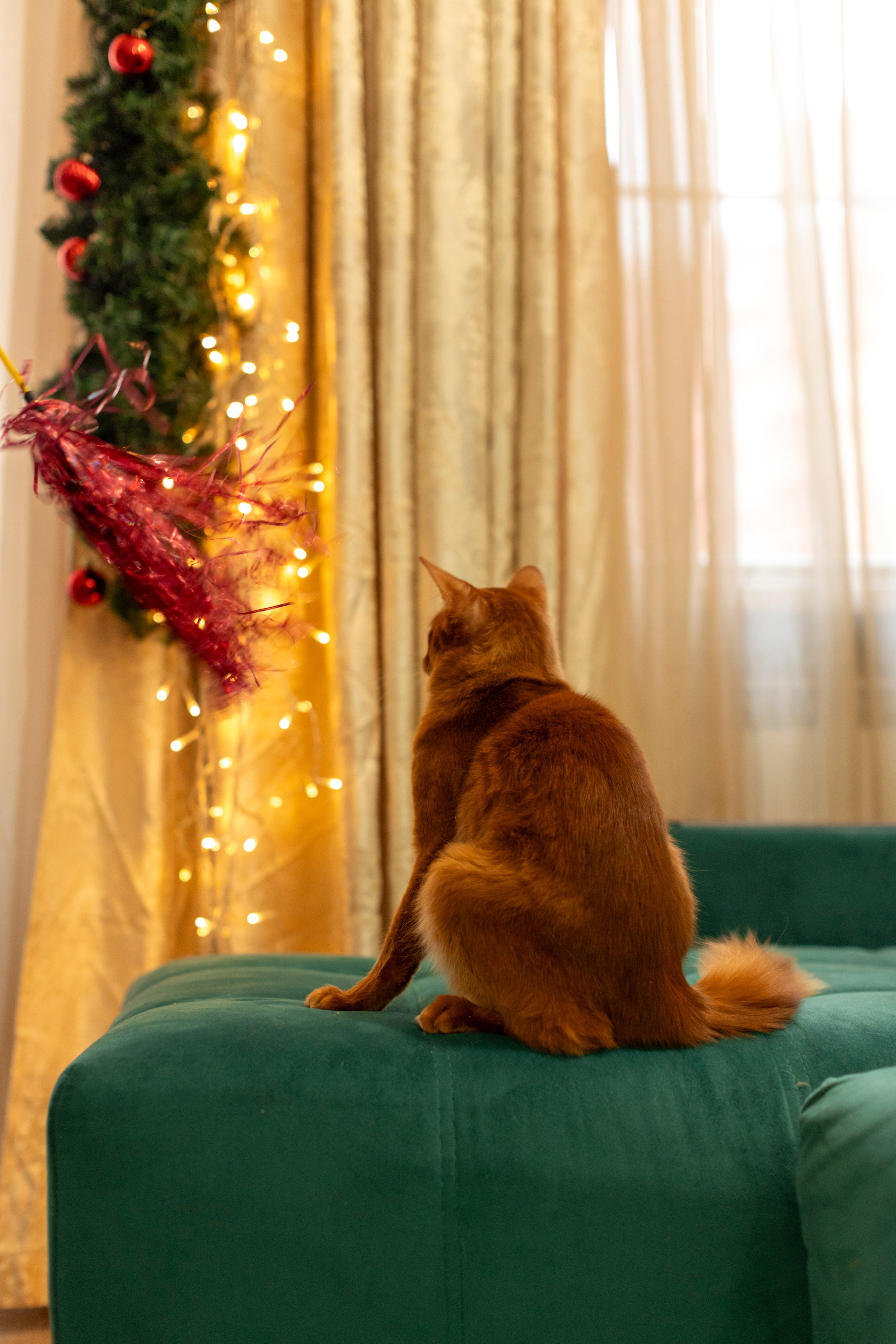 Сомали. Art my Pho