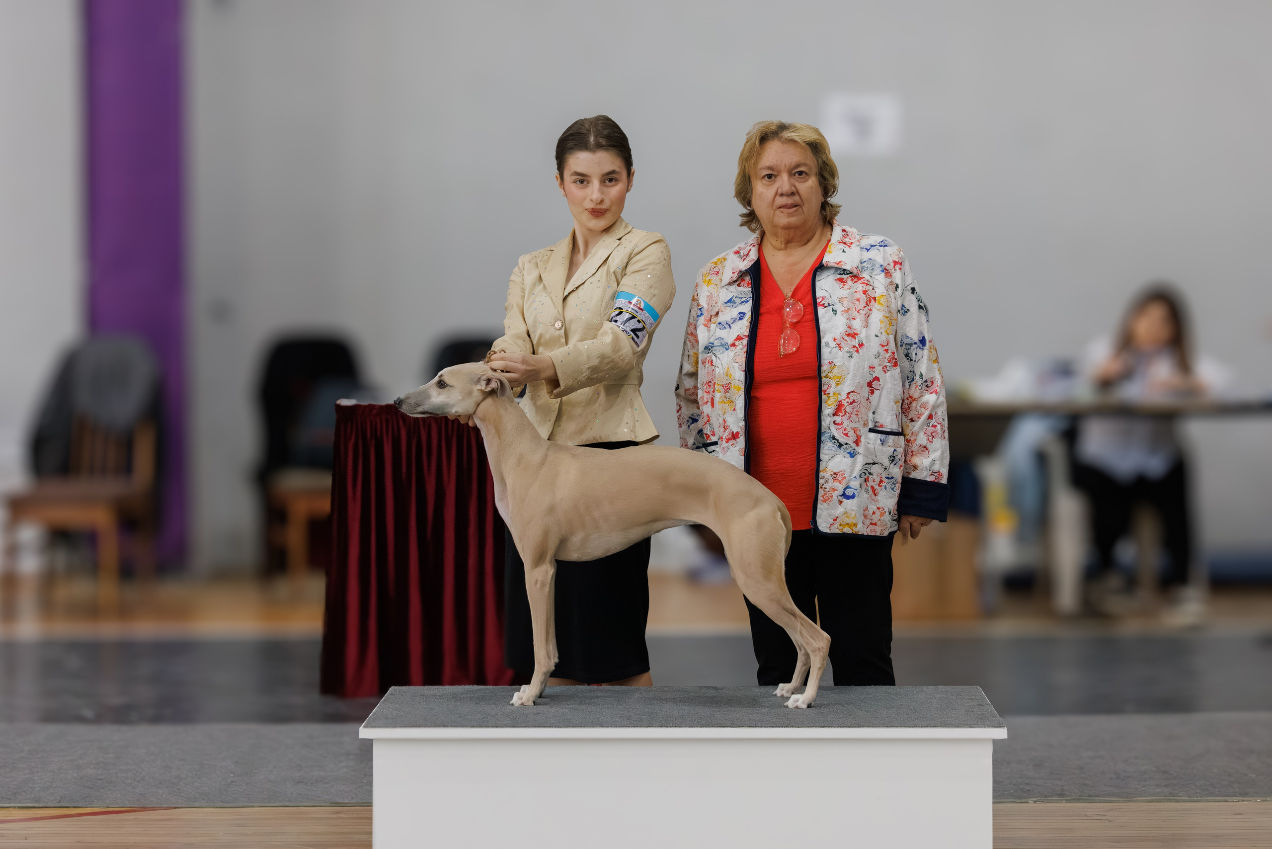 Ереван 2х CACIB 29-30.04.2025. Фотограф-анималист Юлия Германика