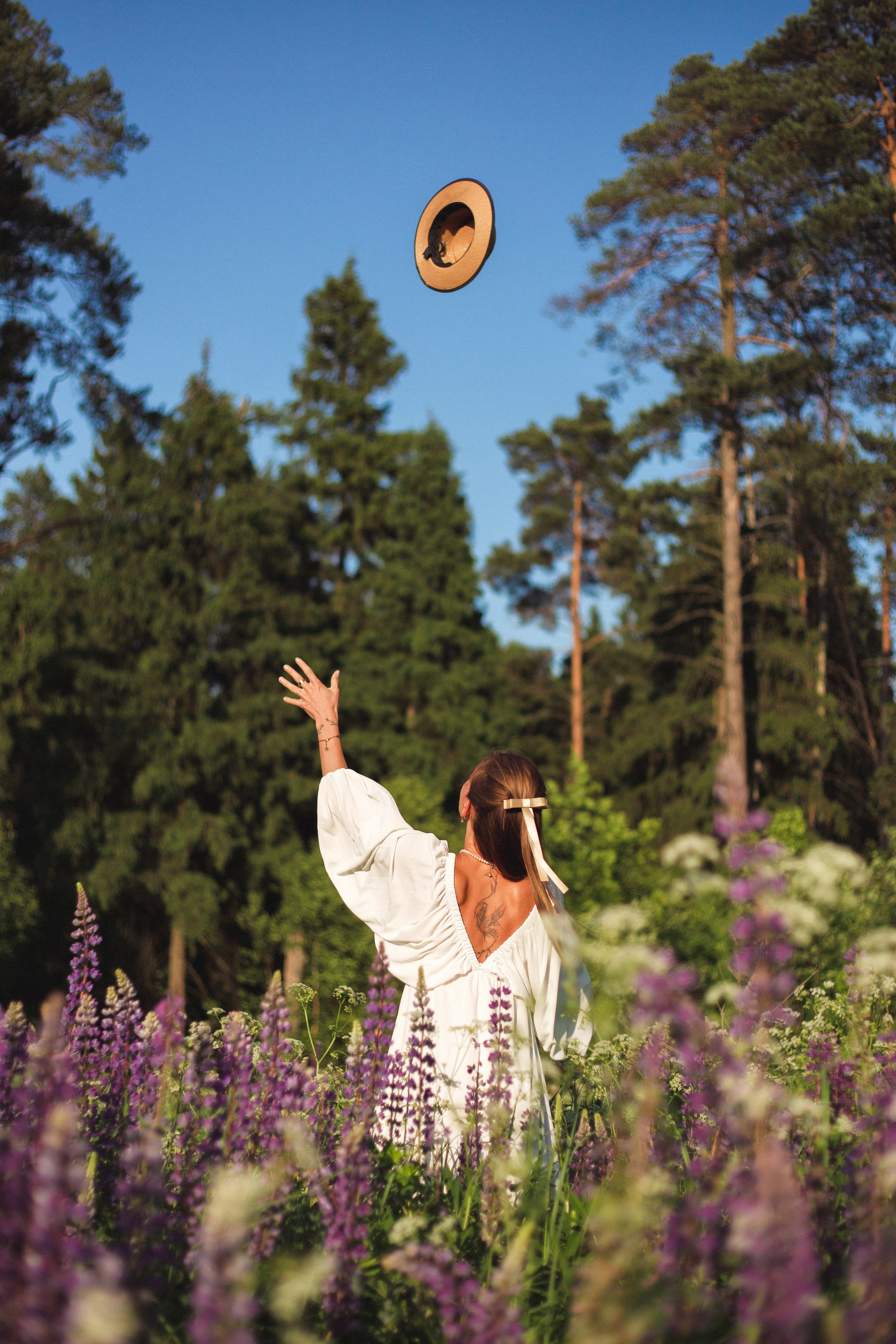 Люпины. Фотограф Москва / Балашиха
