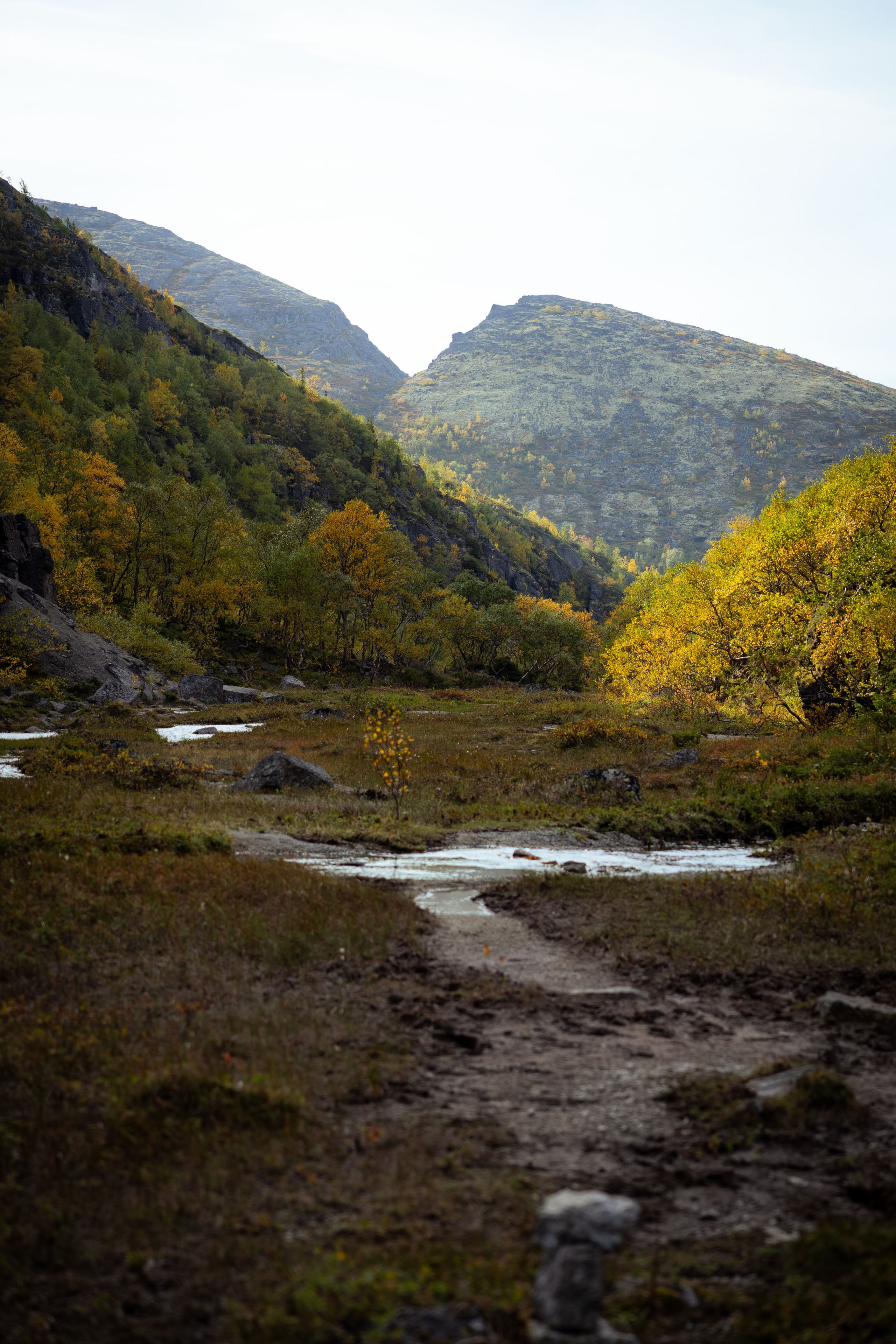 Кольский (осень 2025). Фотограф Виноградов Константин
