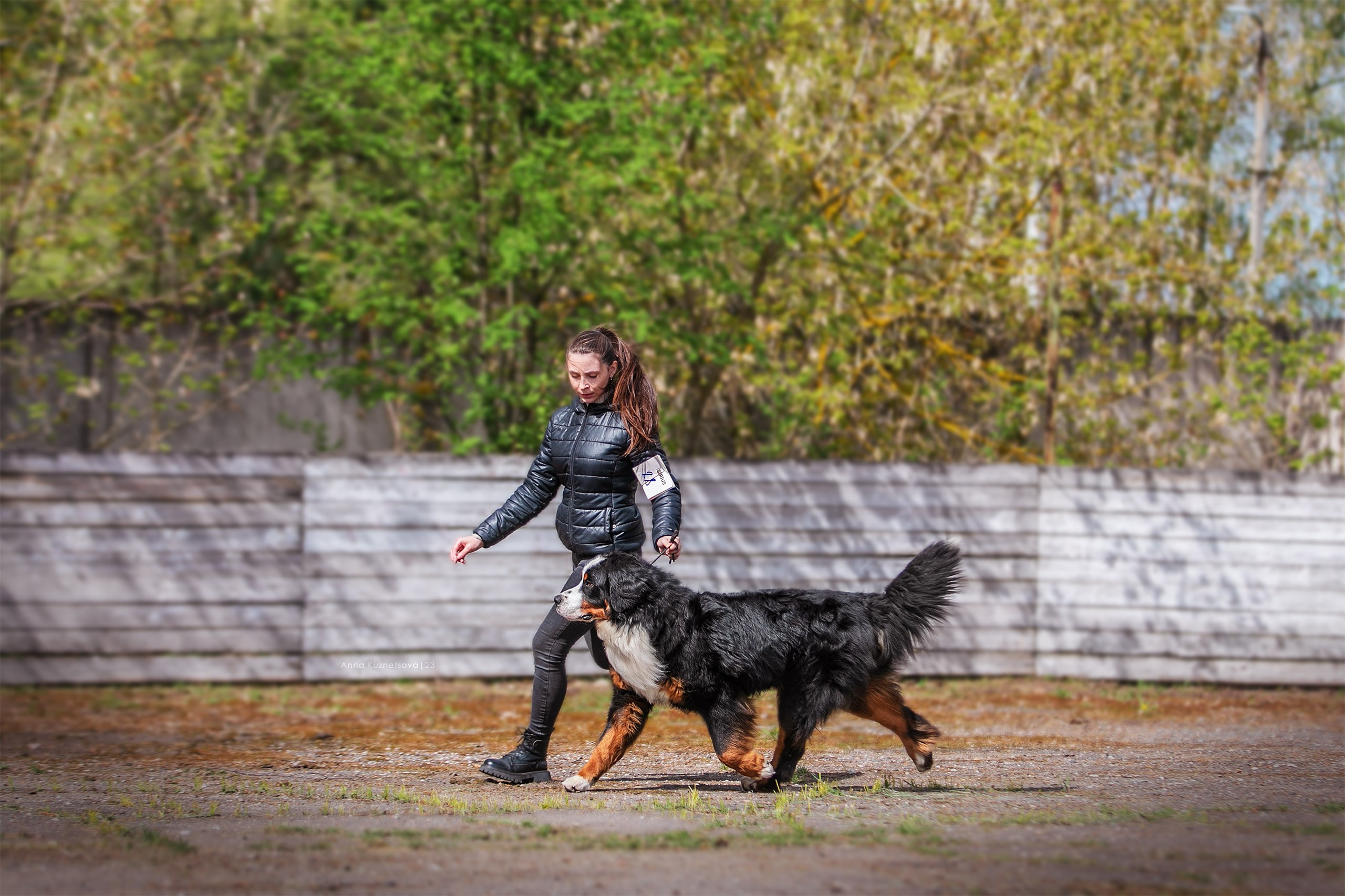 В ринге. Фотограф анималист Кузнецова Анна Нижний Новгород