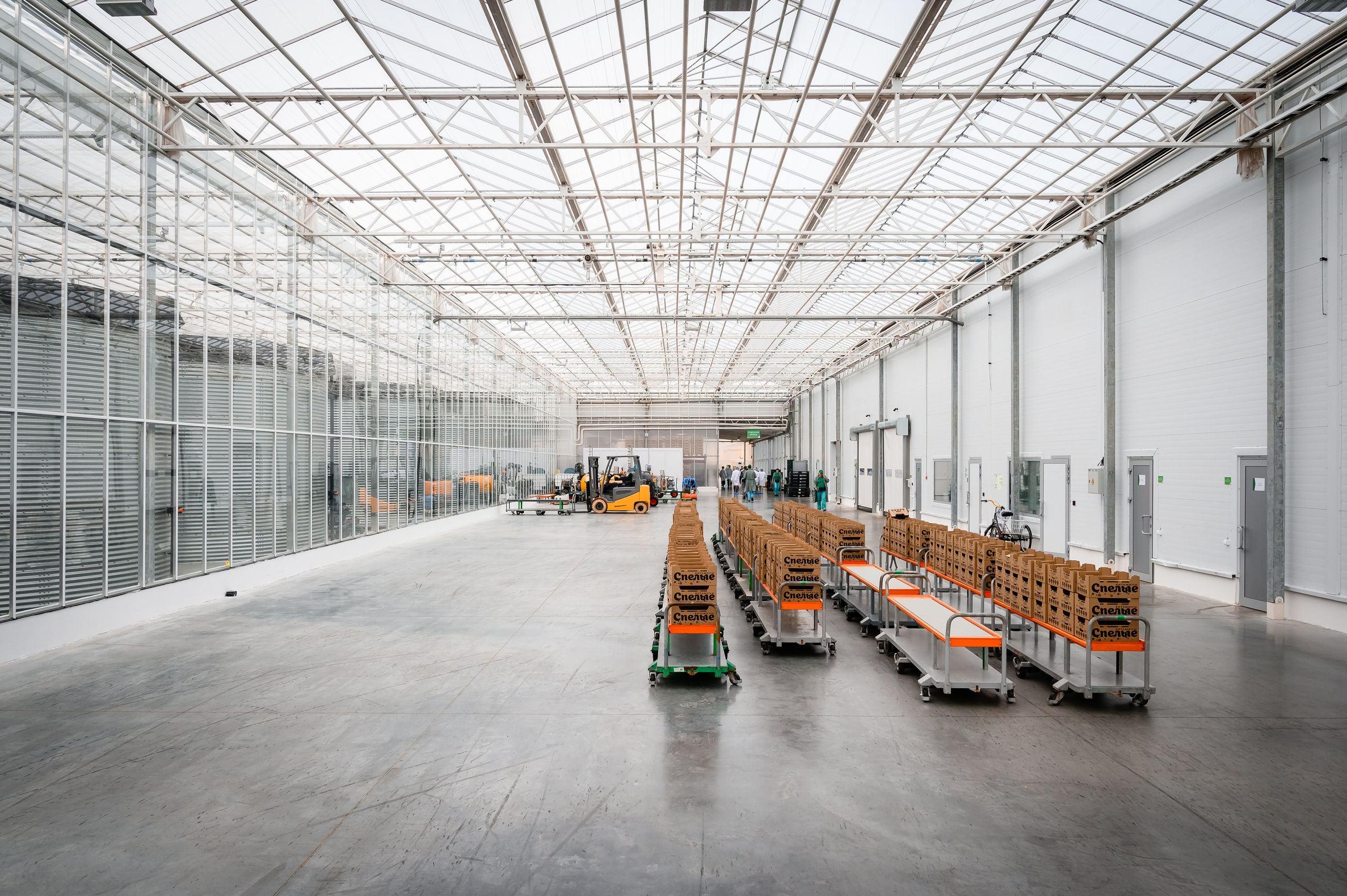 Тепличный комплекс «ПЕРМСКИЙ»