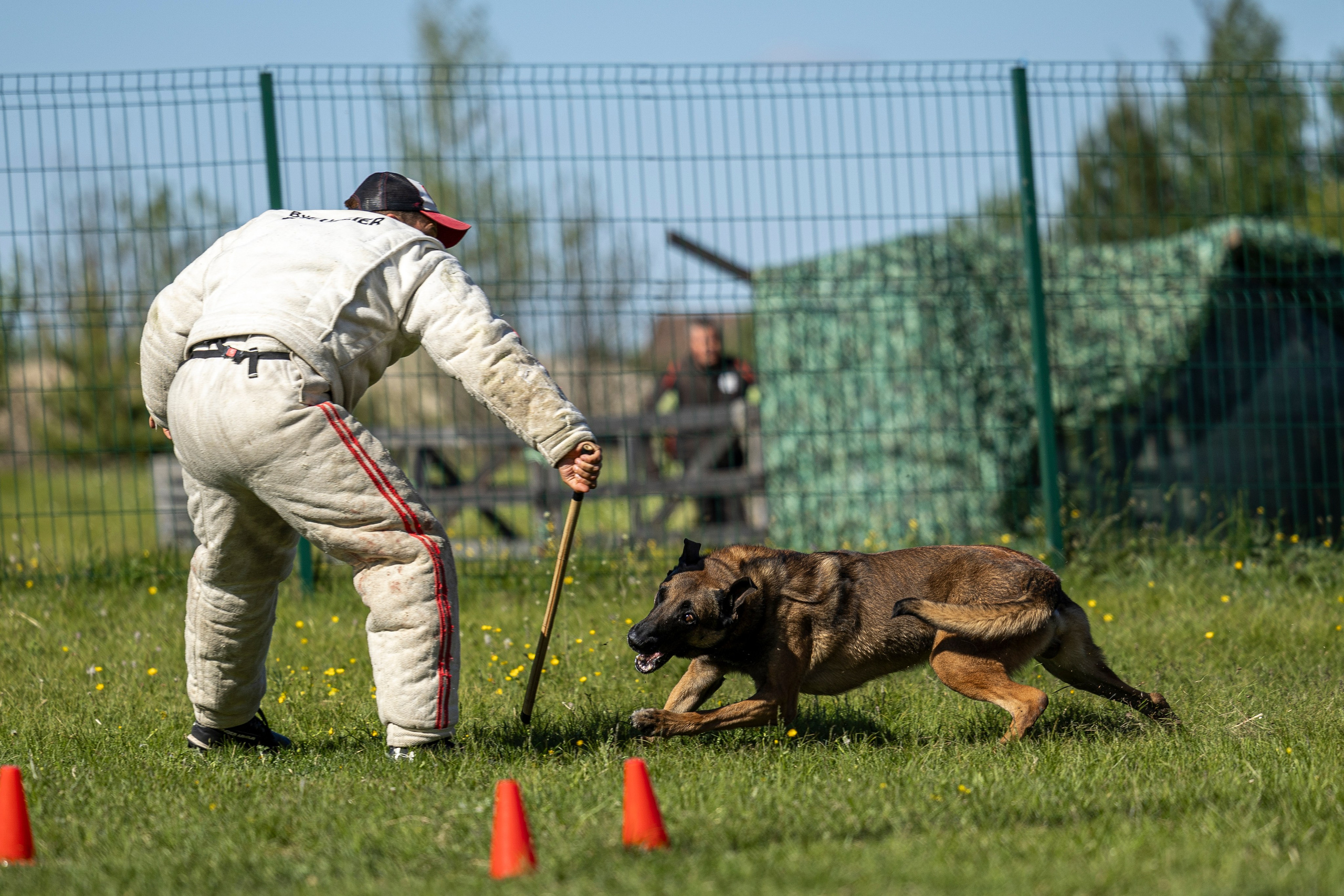 Испытания по мондьорингу в Нижнем Новгороде. Фотограф-анималист Анна Маринич