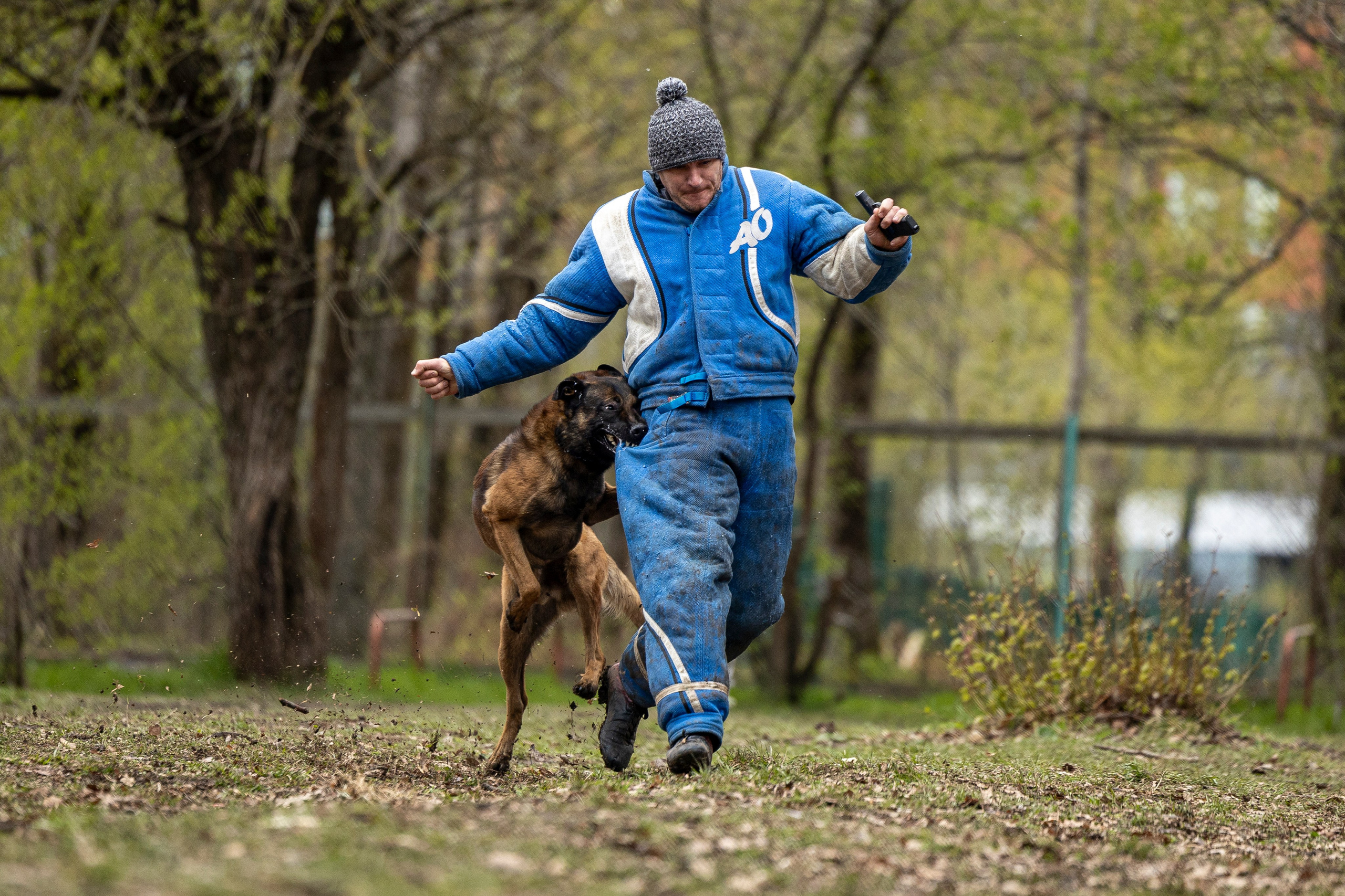 Квалификационные состязания по мондьорингу г. Вологда 11.05.24. Фотограф-анималист Анна Маринич