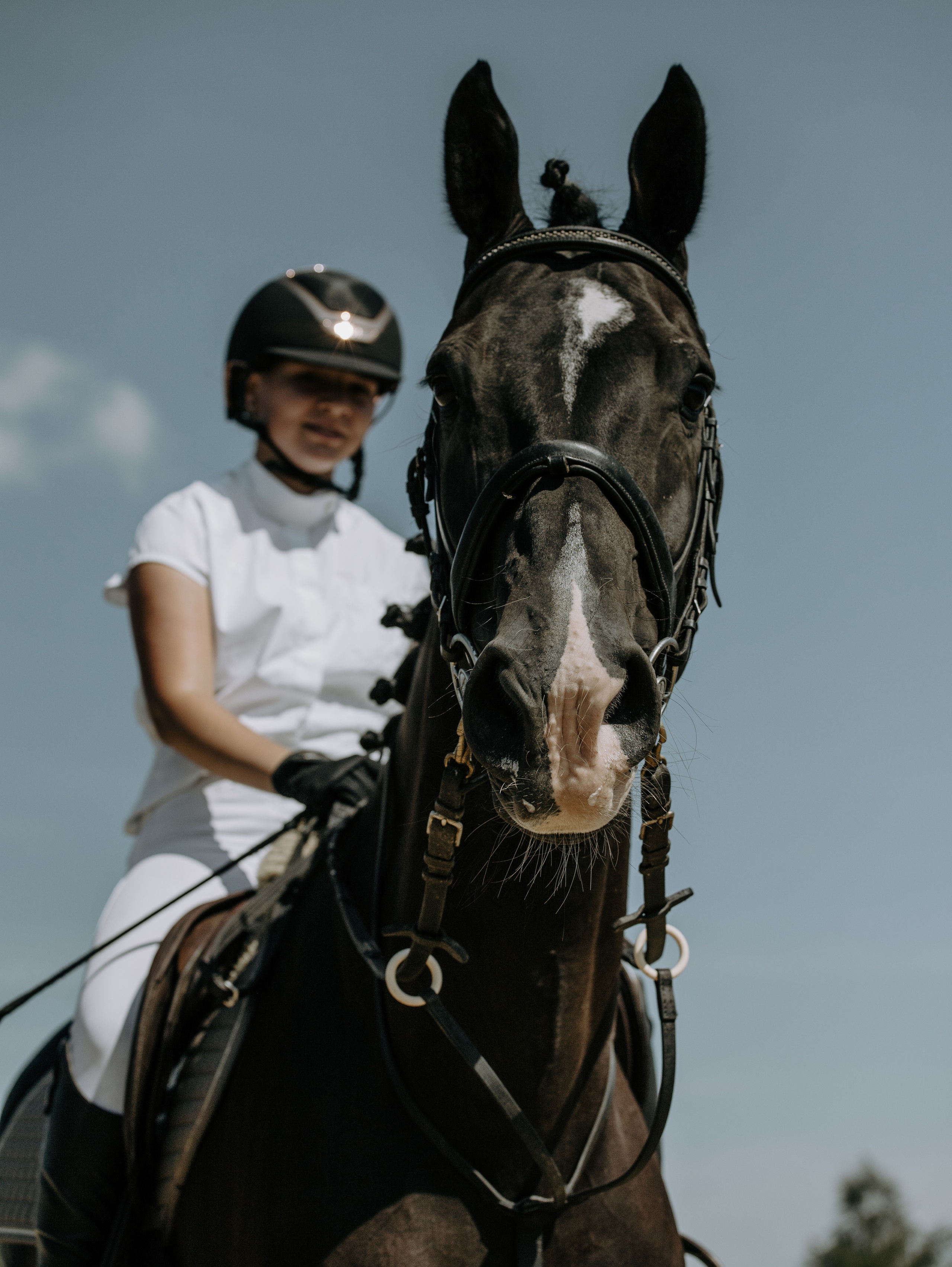 Спортивные фото/видео съёмки (конкур, выездка). Конный фотограф в Калининграде Елена Курбатова