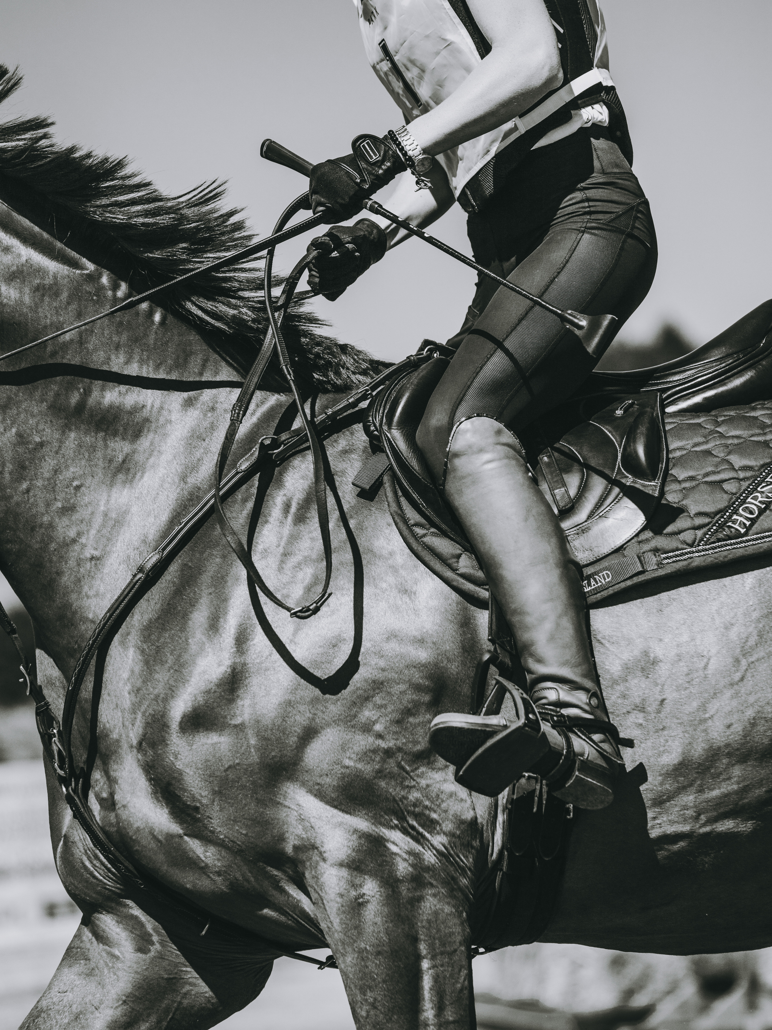 Спортивные фото/видео съёмки (конкур, выездка). Конный фотограф в Калининграде Елена Курбатова