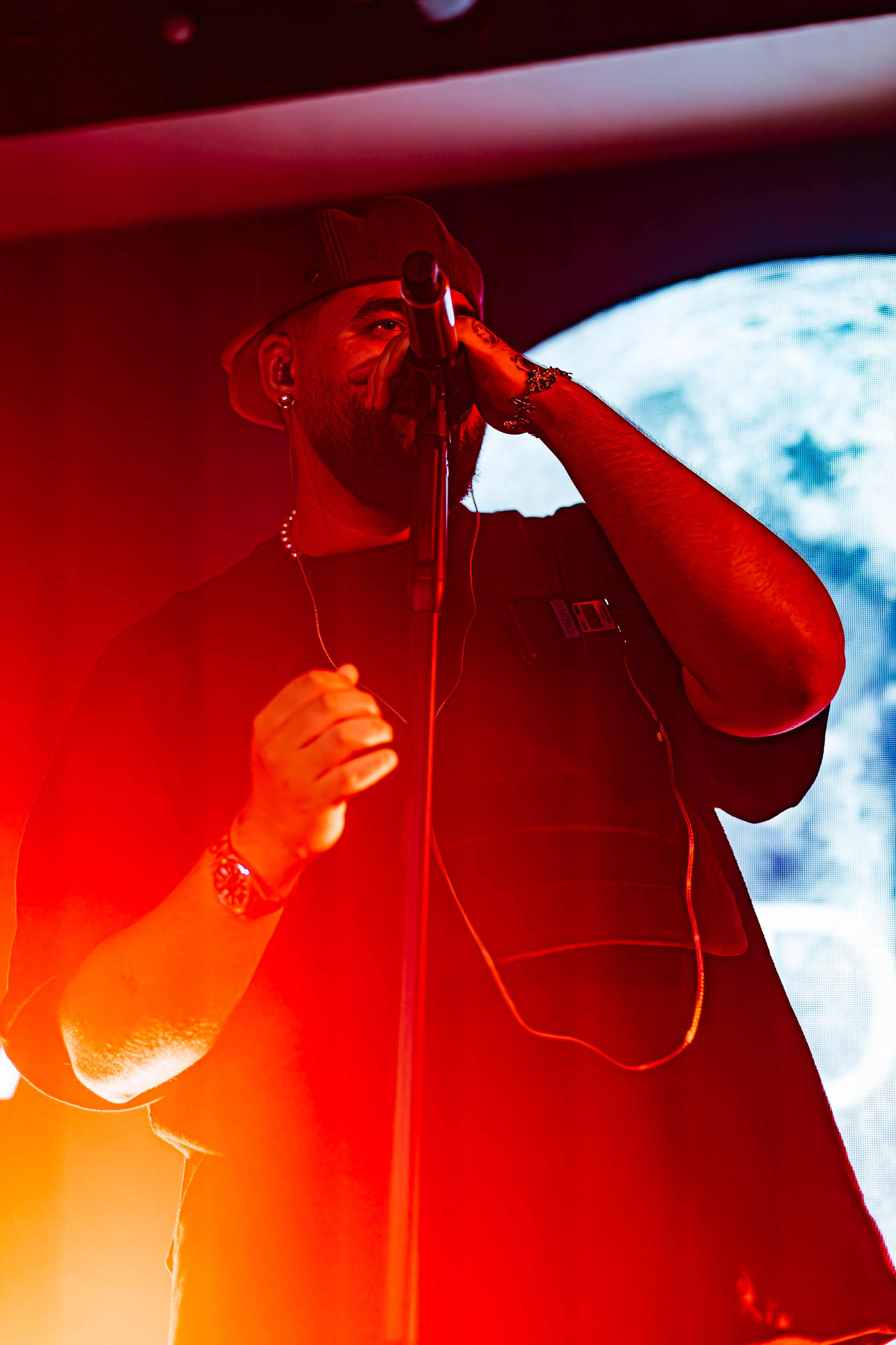 Чайка_на_пляже_Андро_Ялта_24.08.2024. Аминов Руслан | Фотограф