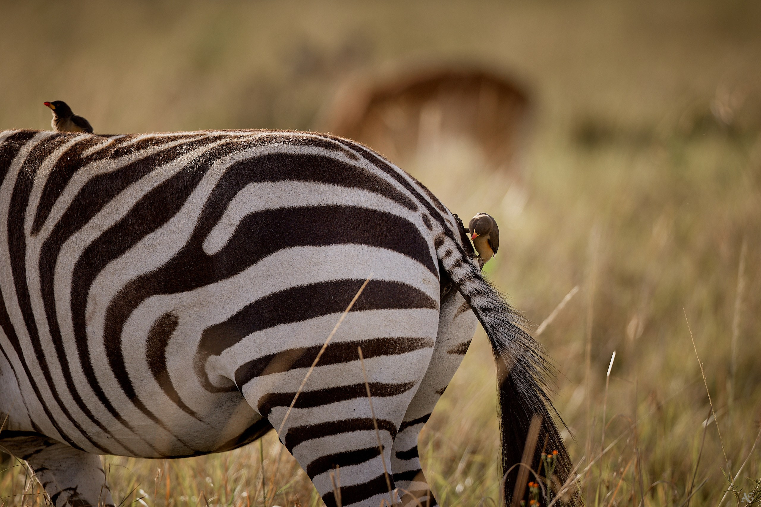 В ожидании чуда