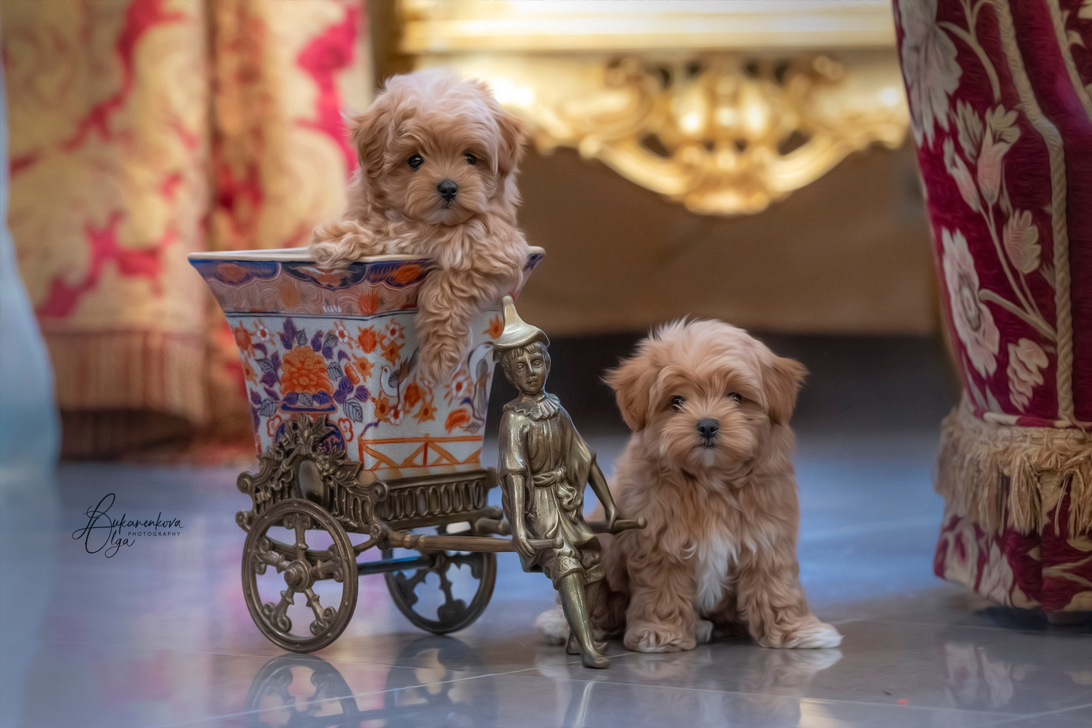 Малыши. Фотограф анималист Ольга Луканенкова в Москве