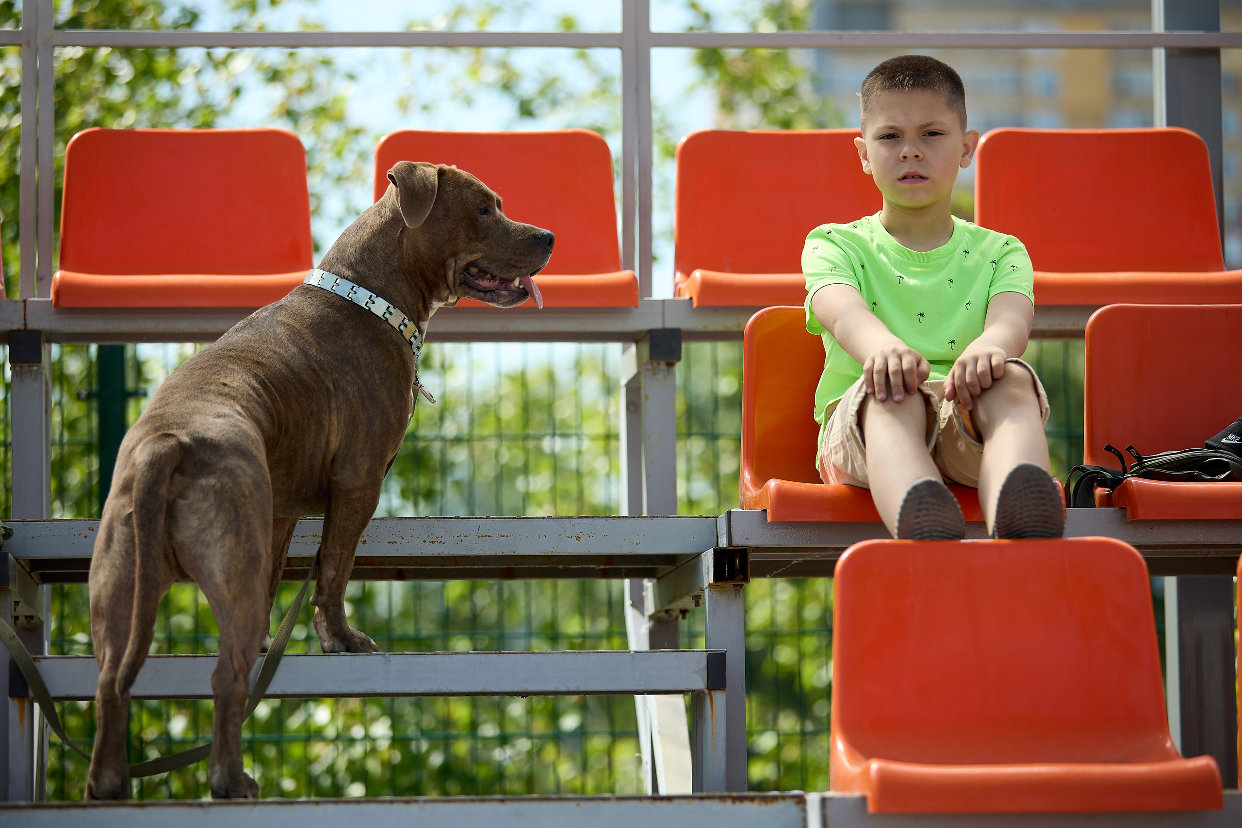 Американский футбол. Матч Чемпионата России. Светлана Родионова — фотограф спортивный и не только