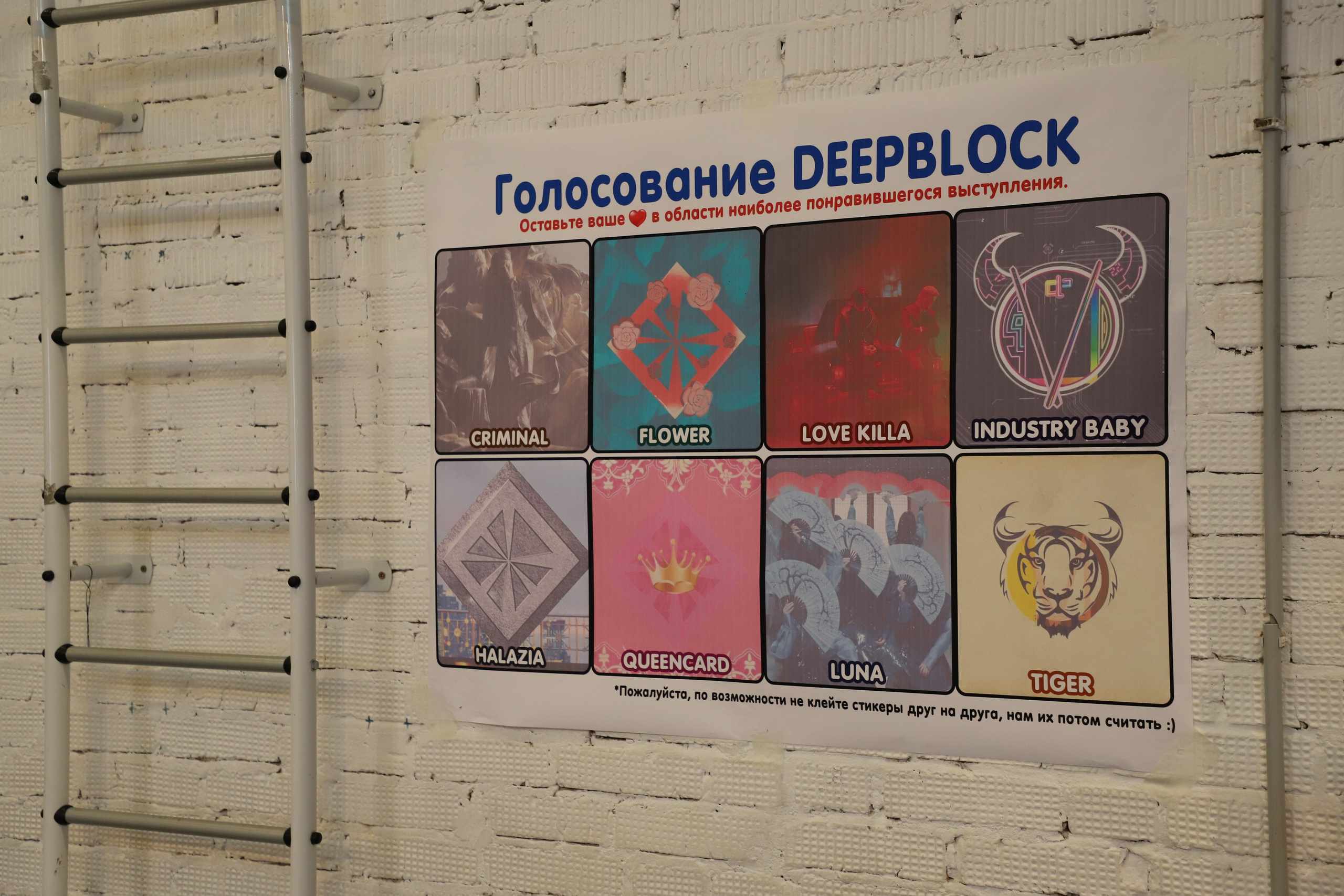 DEEPFEST SUMMER 2023. K-pop (и не только) фотограф в Москве Светлана Полякова