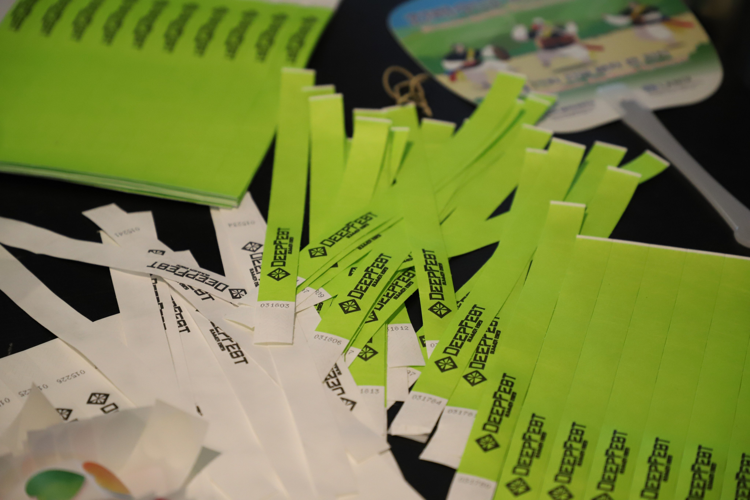 DEEPFEST SUMMER 2023. K-pop (и не только) фотограф в Москве Светлана Полякова