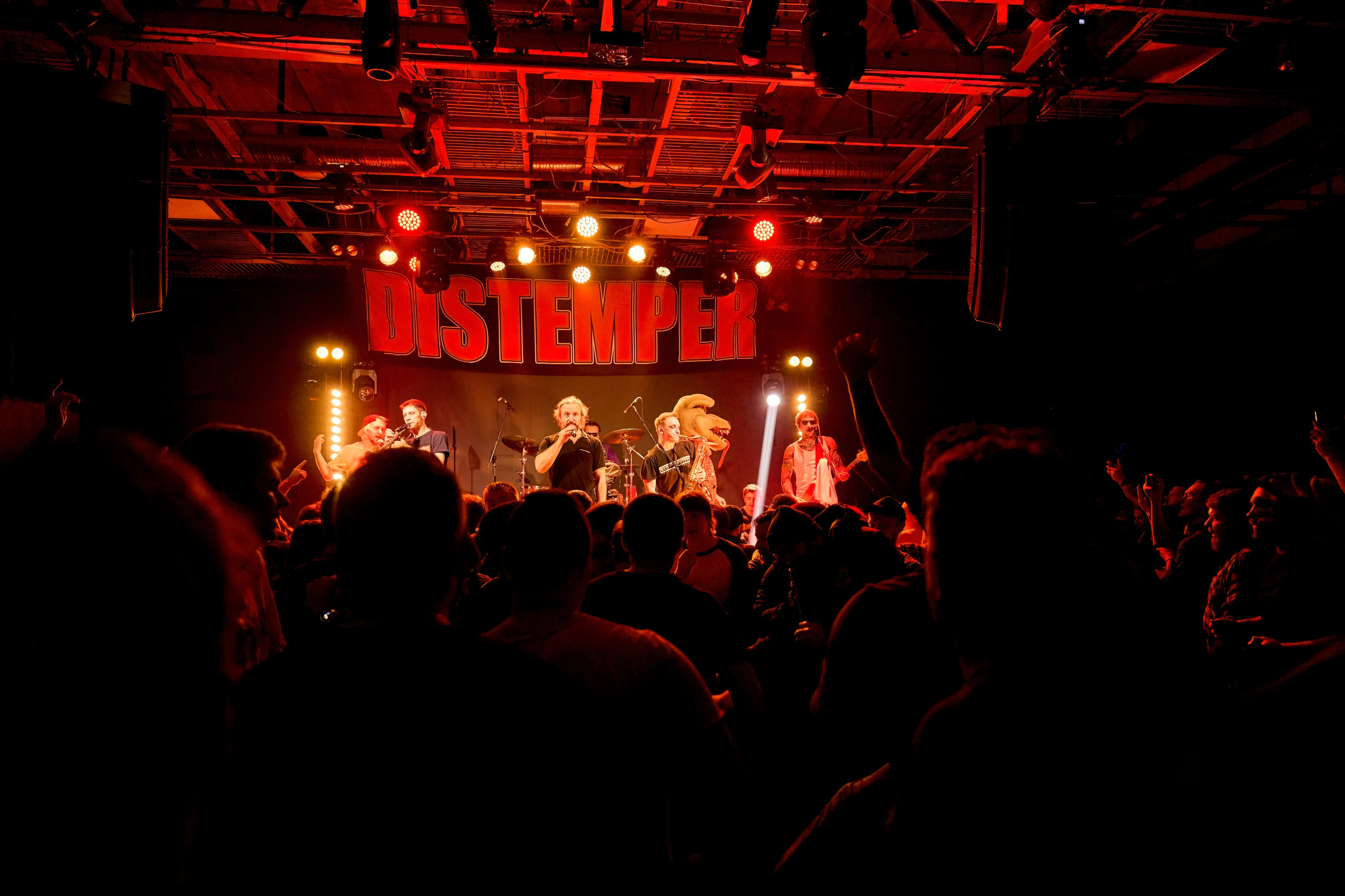 DISTEMPER / AGLOMERAT / 24.11.2023. Ekhovanov | фото- видеосъемка