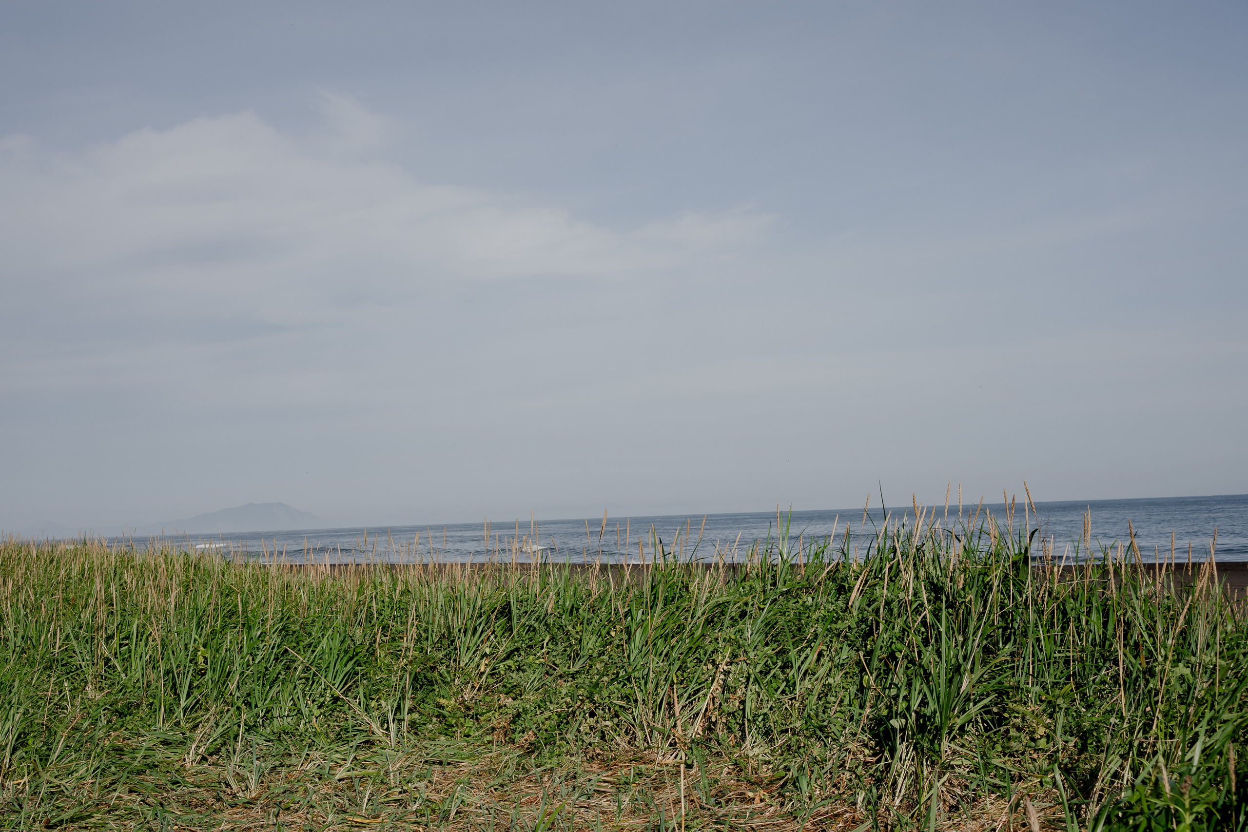 Мыс Маячный на Камчатке. Профессиональный фотограф, Санкт-Петербург — Виктория Богомолова