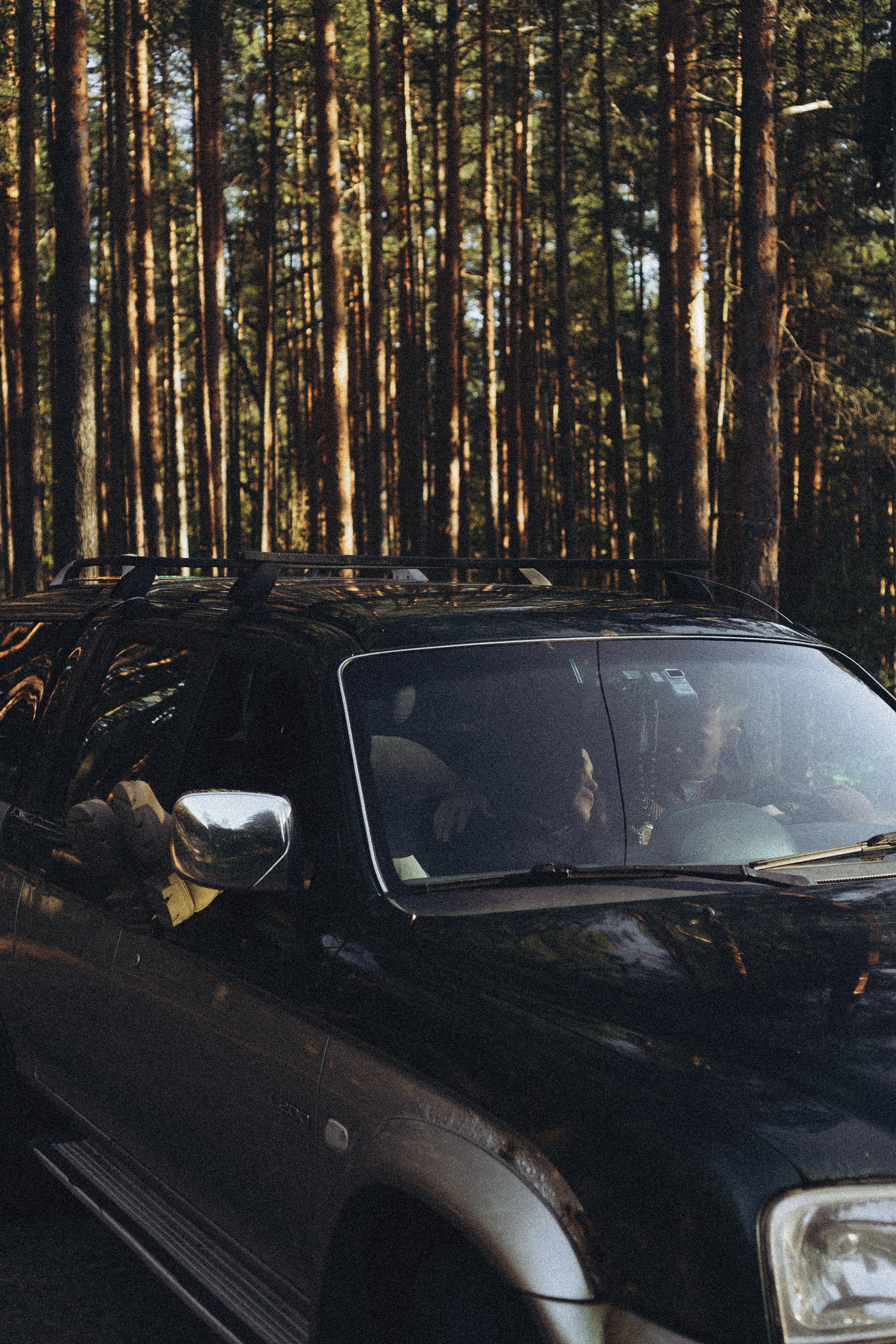 Прогулка по Финскому заливу. Профессиональный фотограф, Санкт-Петербург — Виктория Богомолова