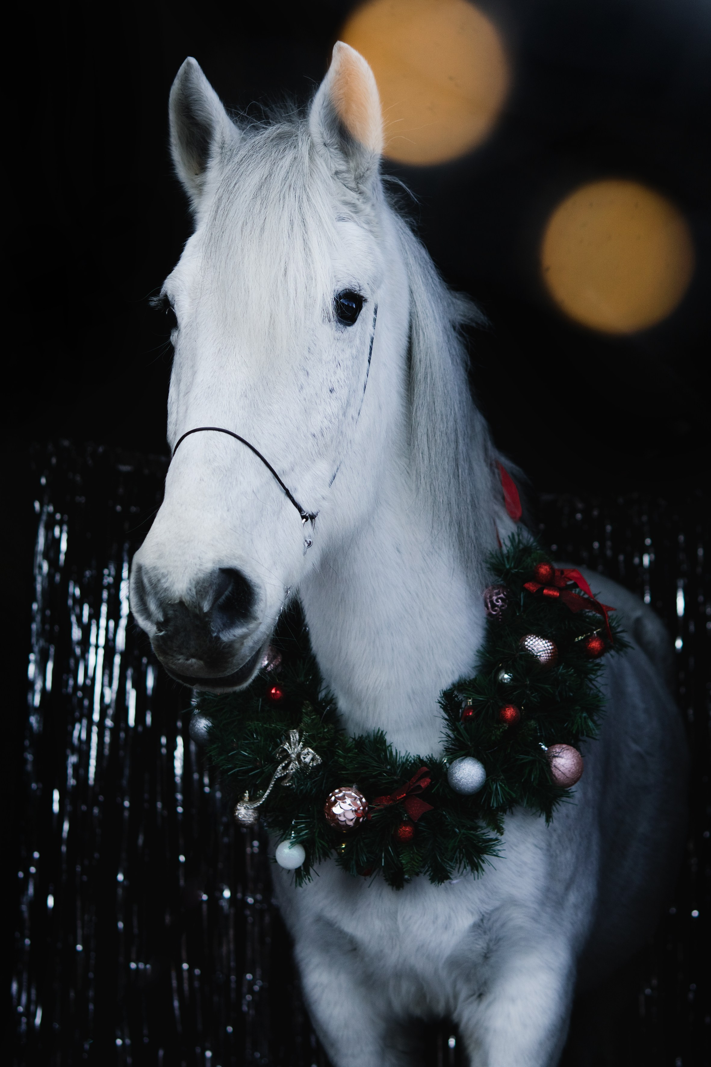 Life with horse. Saamill