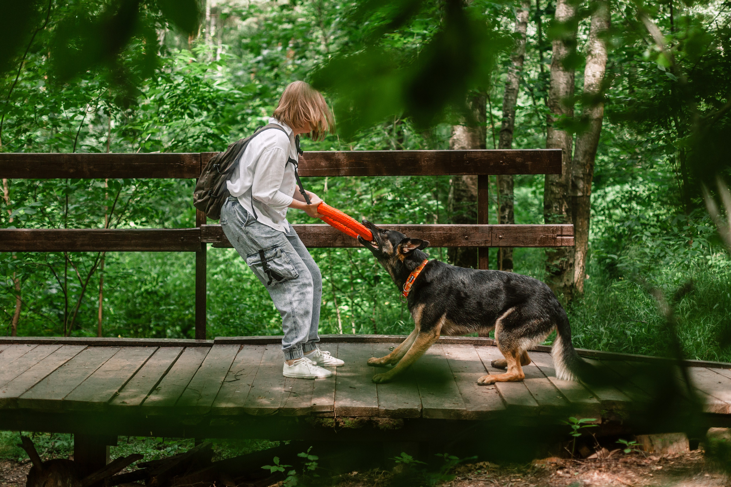 Лесная летняя фотопрогулка. Фотограф-анималист Татьяна Степанова