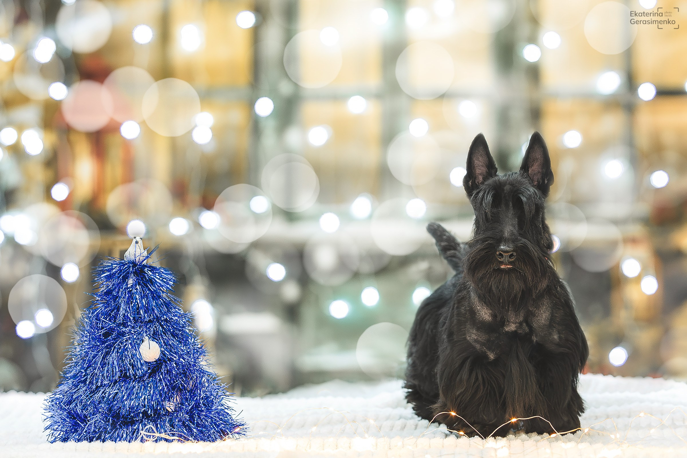 Фотодень. Htykk_photo