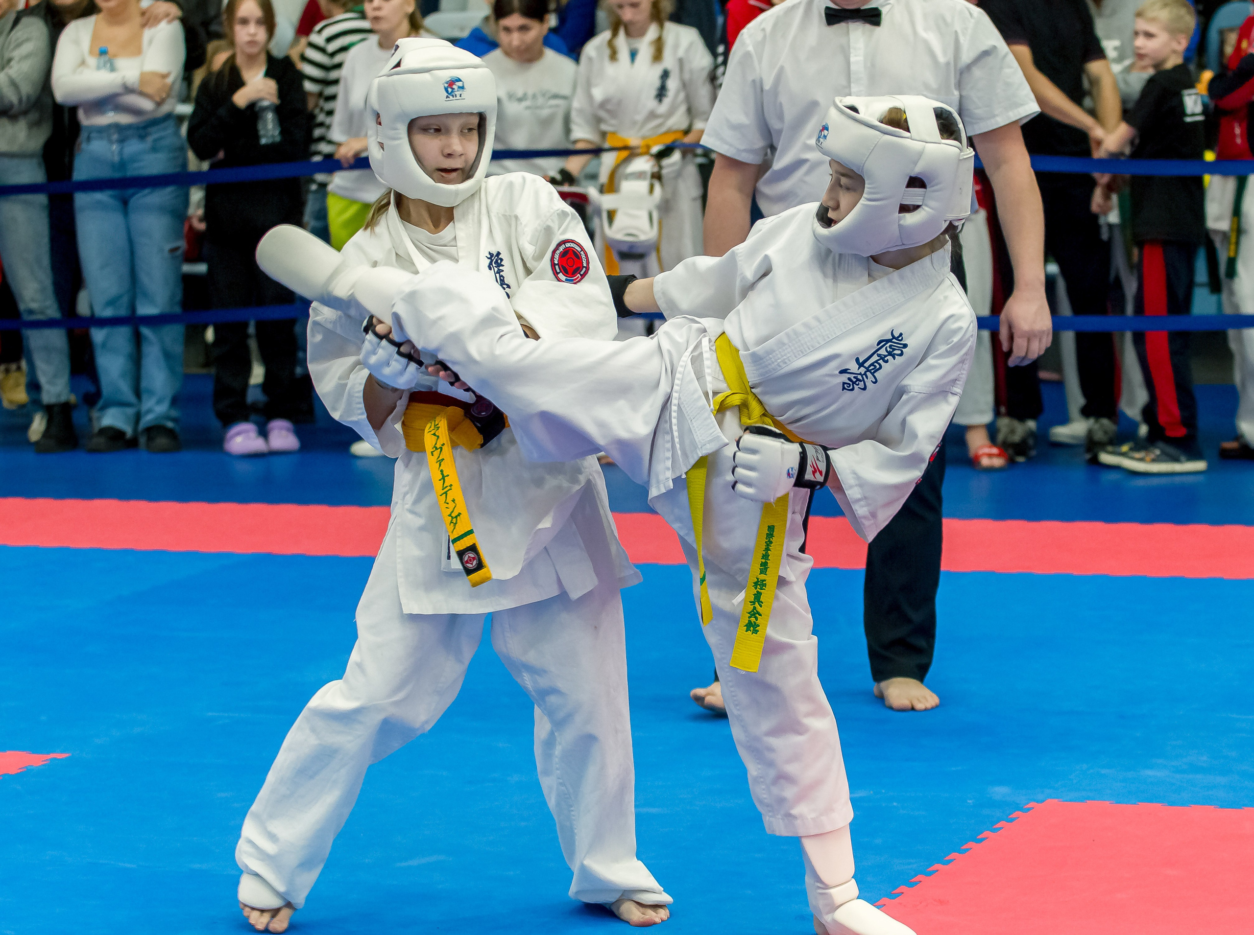 Соревнования по Киокушин памяти С. Увицкого. Репортажная съемка в Москве и области. Анималистика