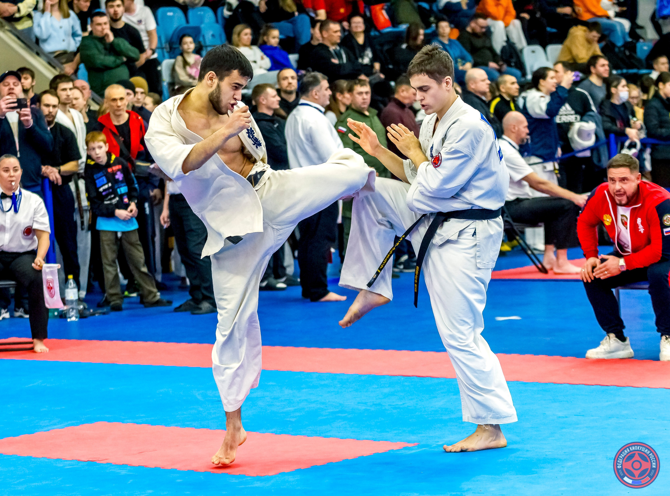 Международный турнир по киокушин «Открытый кубок Seiken». Репортажная съемка в Москве и области. Анималистика