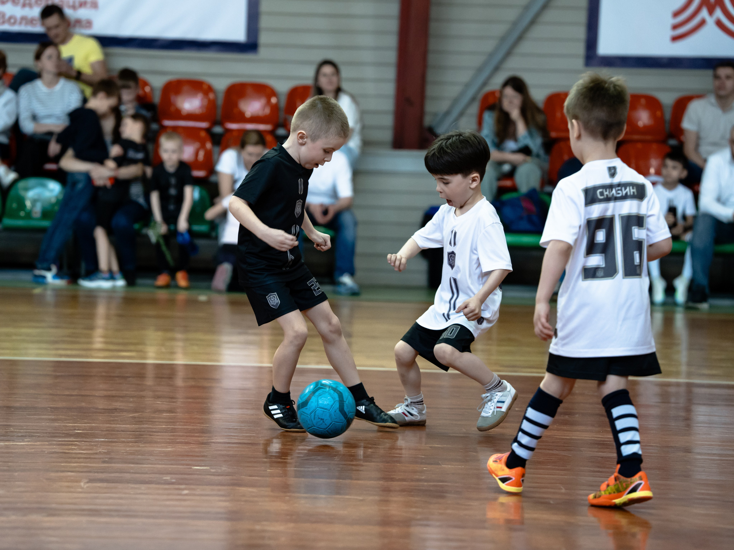 Тики-Така Противостояние 2025. Крамер Юлиана детский и семейный фотограф