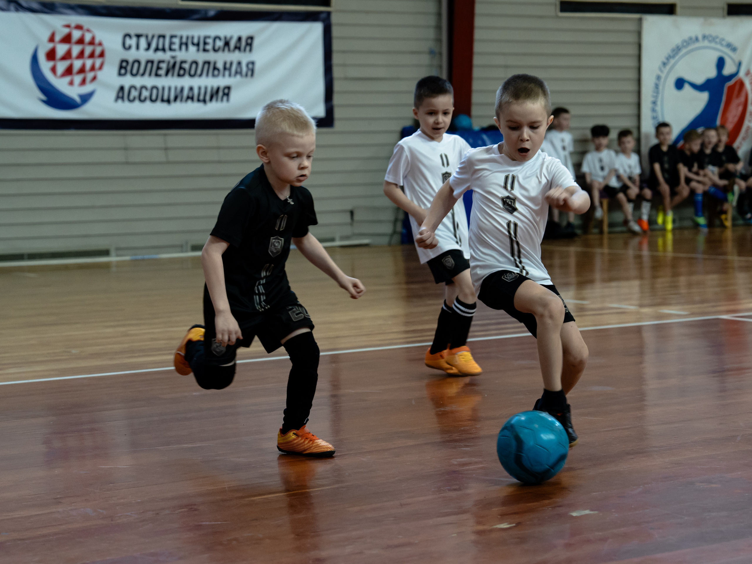 Тики-Така Противостояние 2025. Крамер Юлиана детский и семейный фотограф