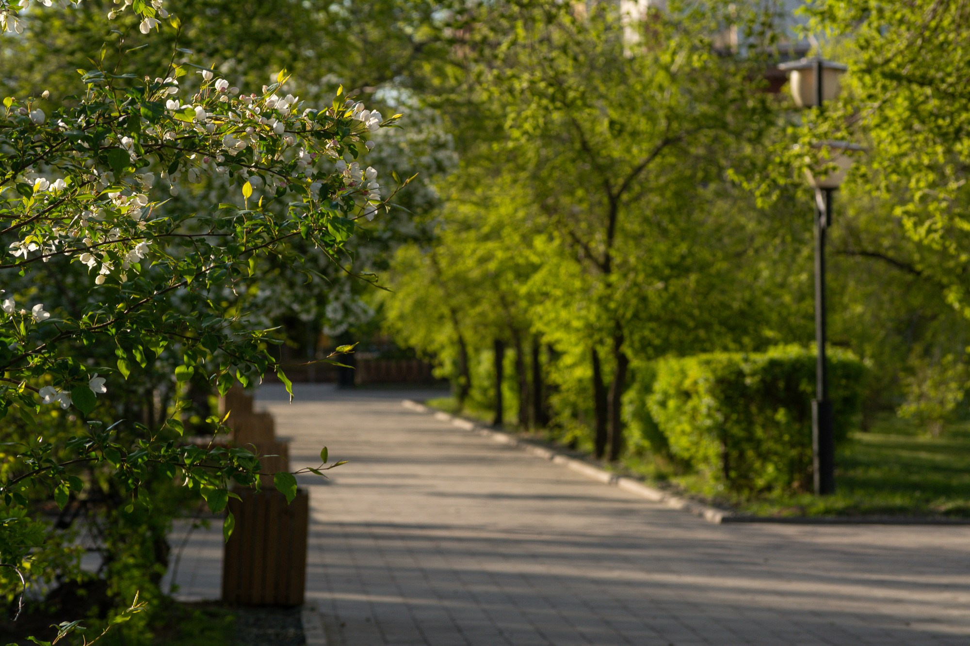 Разное. Репортажный фотограф г. Чита