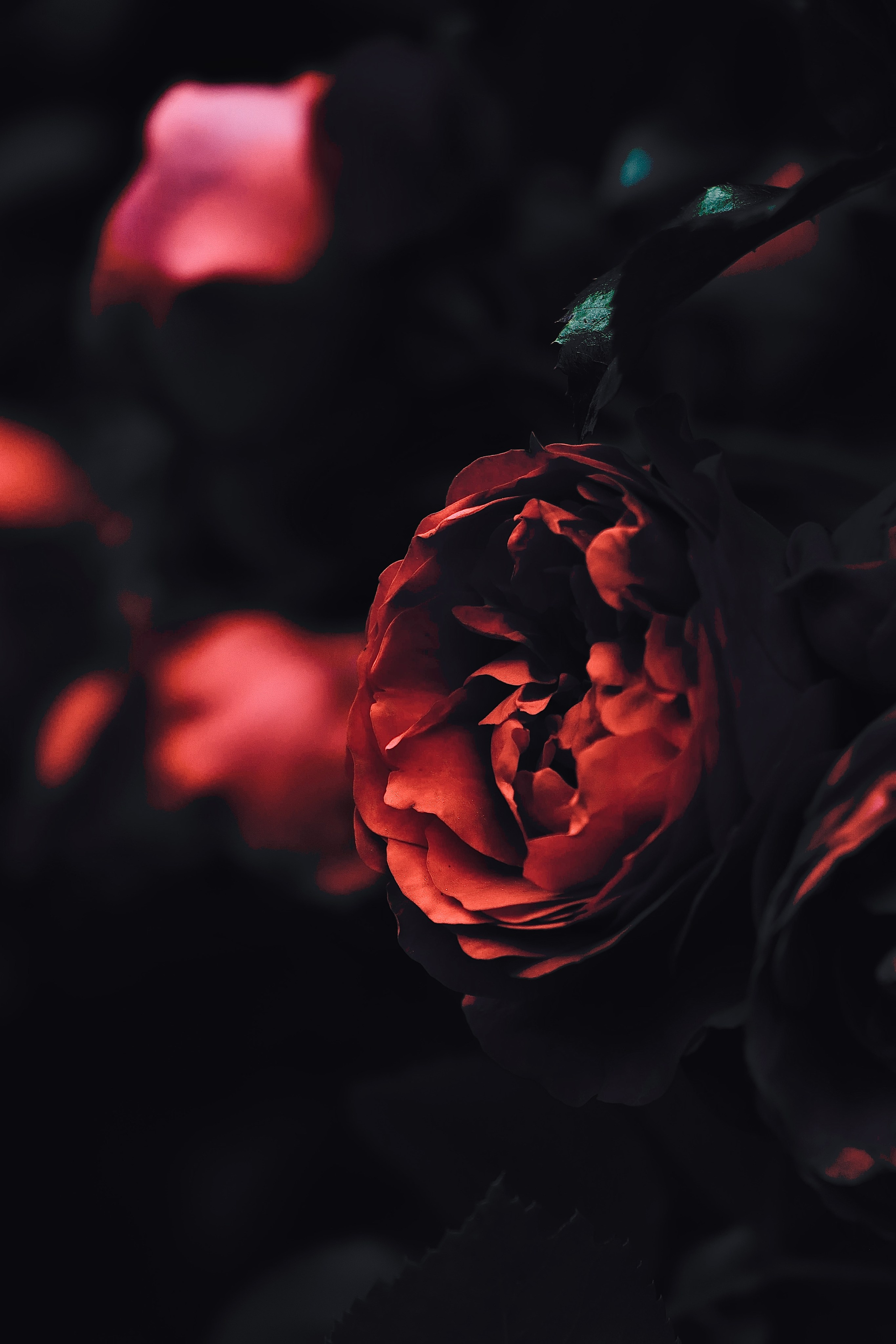 Пейзажи и прочее