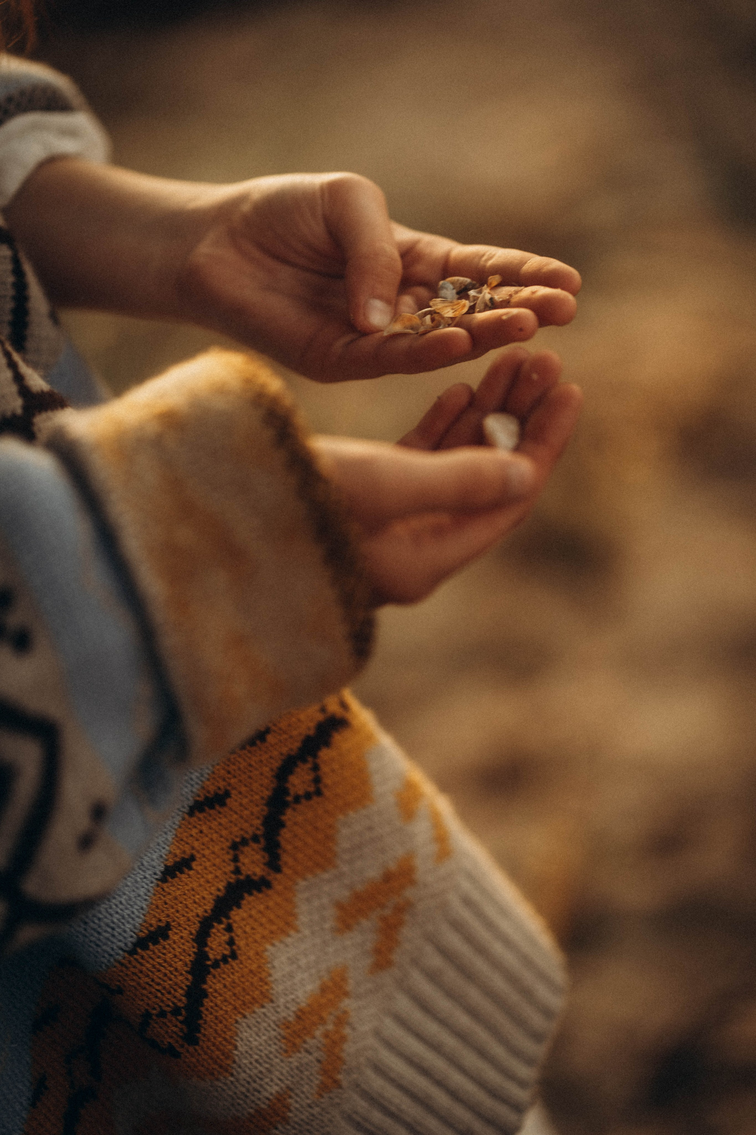 Соня & Ева. Семейный фотограф в Калининграде Елена Глазунова