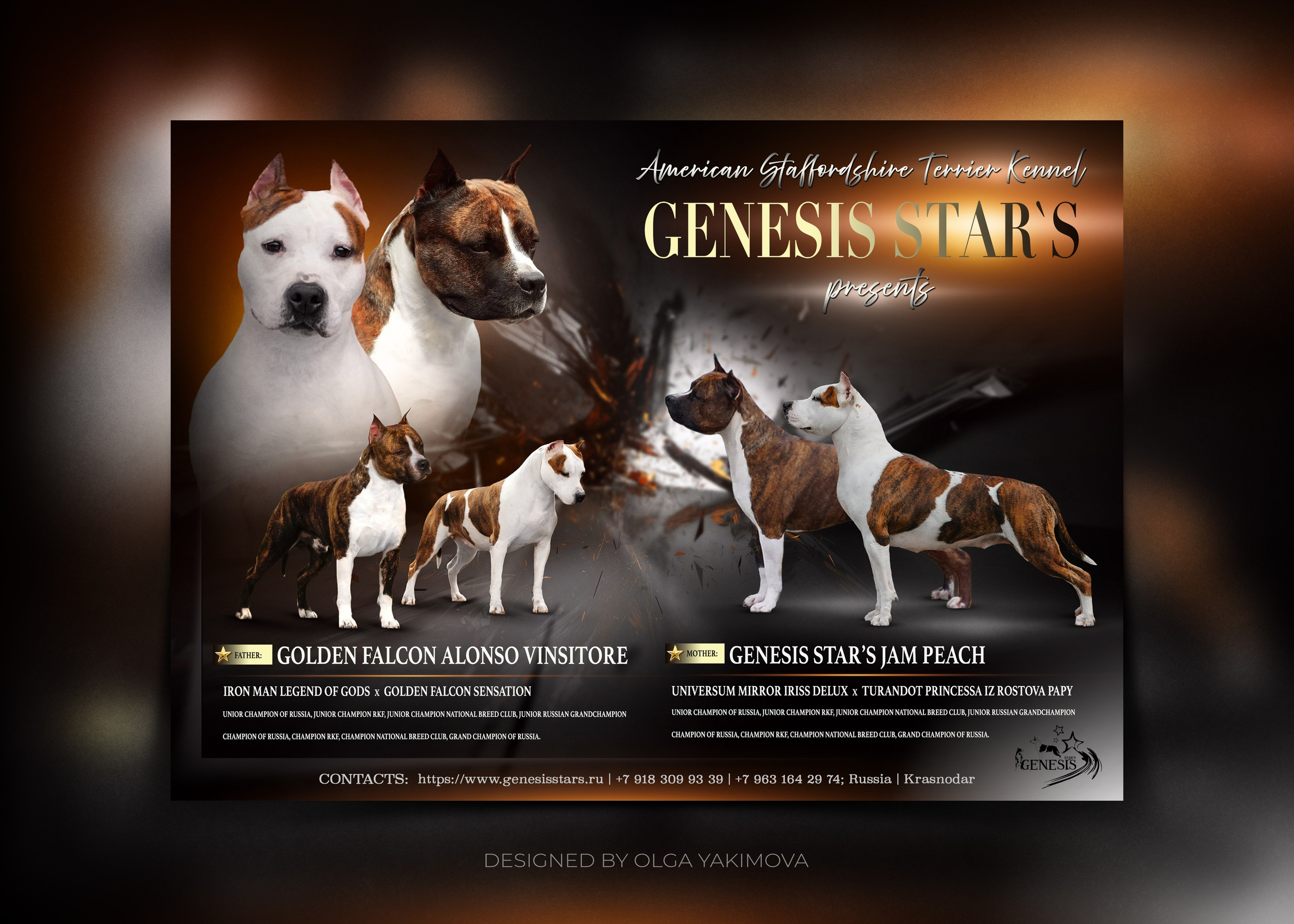 Animal presentation. Фотограф