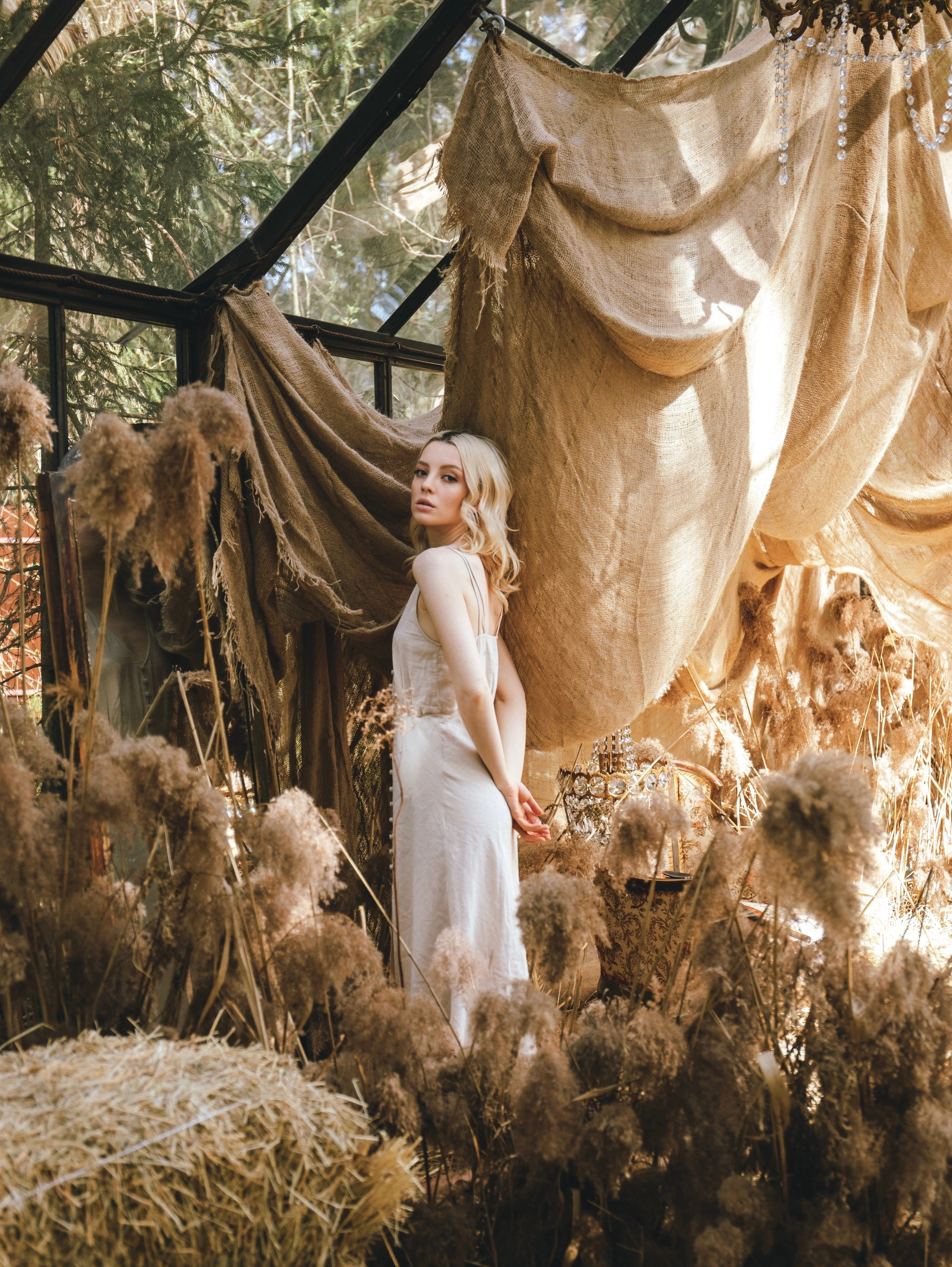 История со скрипкой. Свадебный и семейный фотограф в Москве Мила Широких