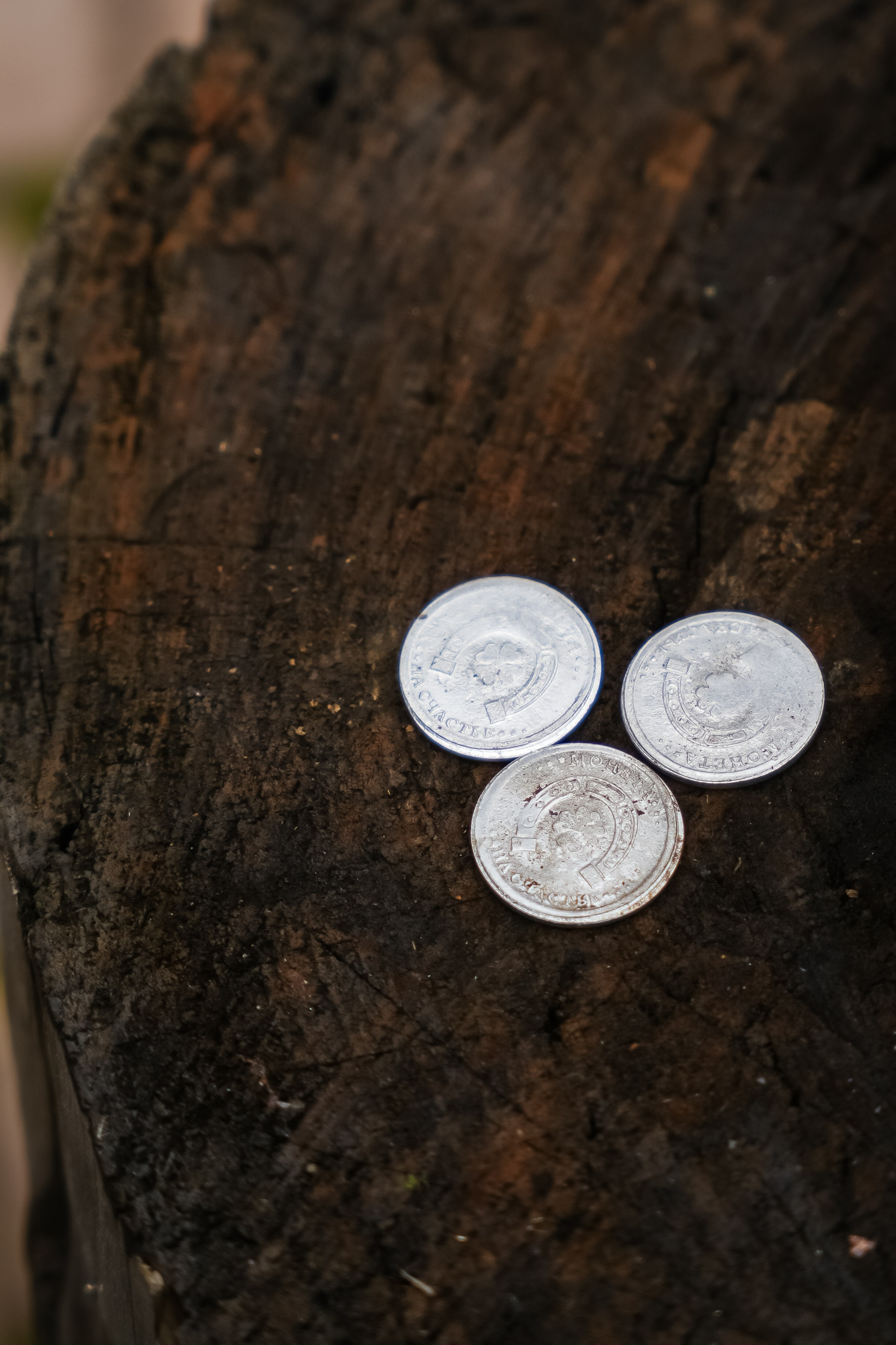 Роскомнадзор | Radisson Rosa Khutor. Репортажный фотограф | Роза Хутор Красная Поляна Сочи Сириус