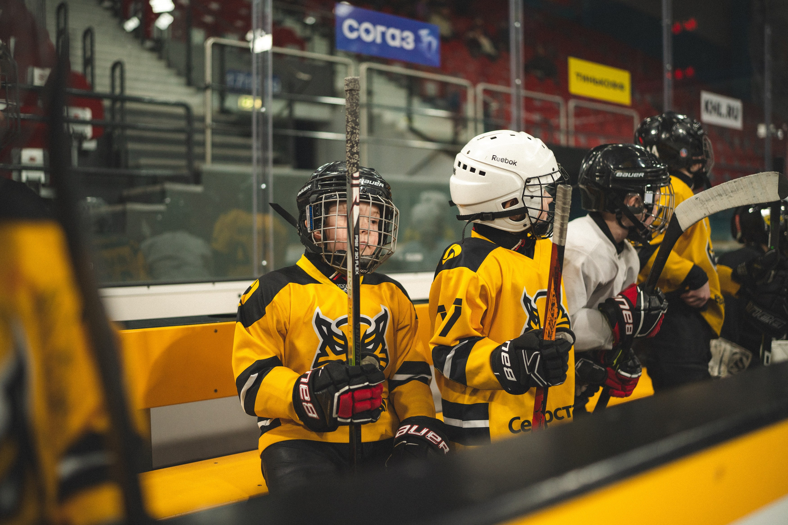 ХК Северсталь (младшая группа). Череповец. Zekons. Фото, видео, нейросети