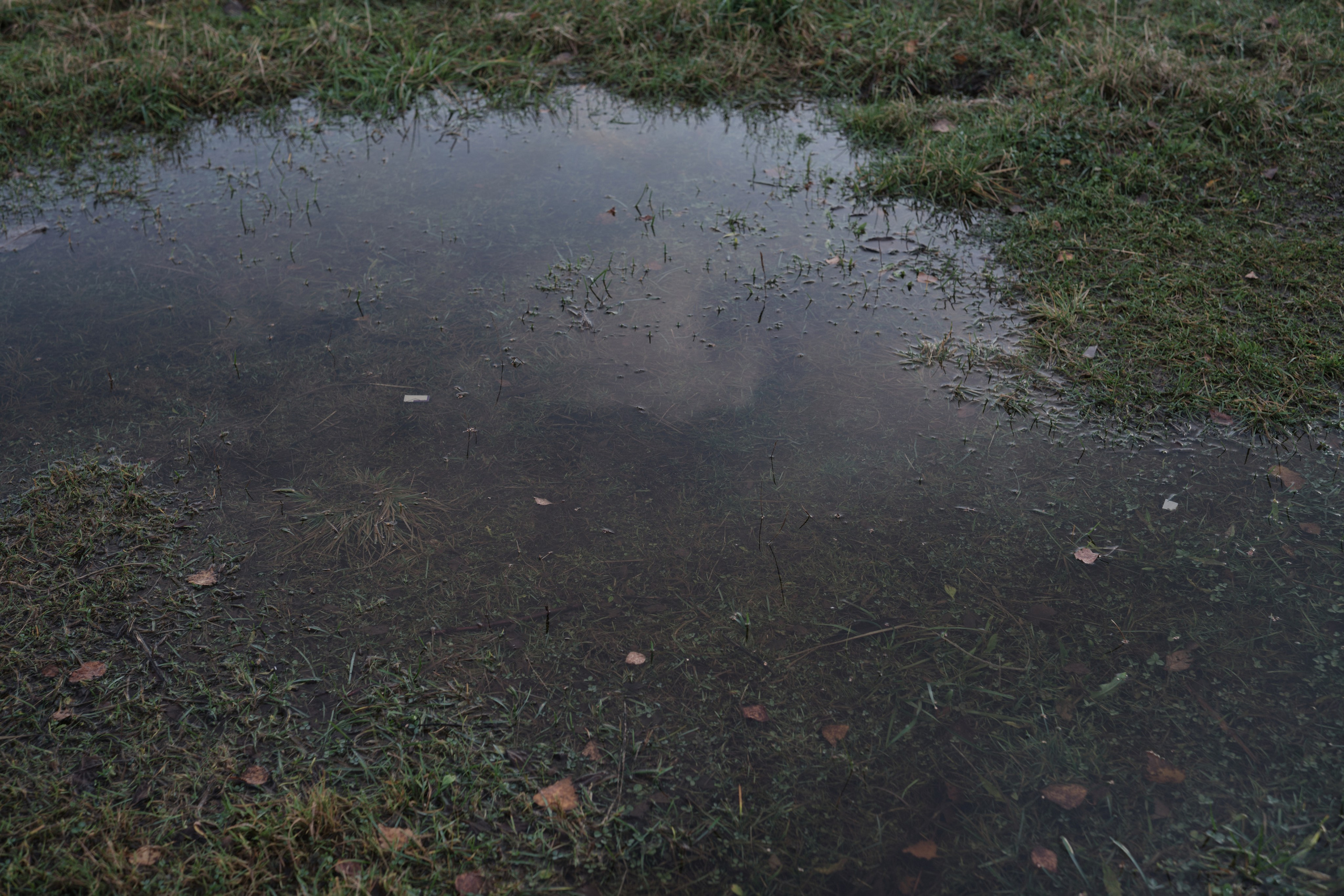 Городской пейзаж — deadpan | Филипп Линзин. Репортажный и портретный фотограф в Санкт-Петербурге Филипп Линзин
