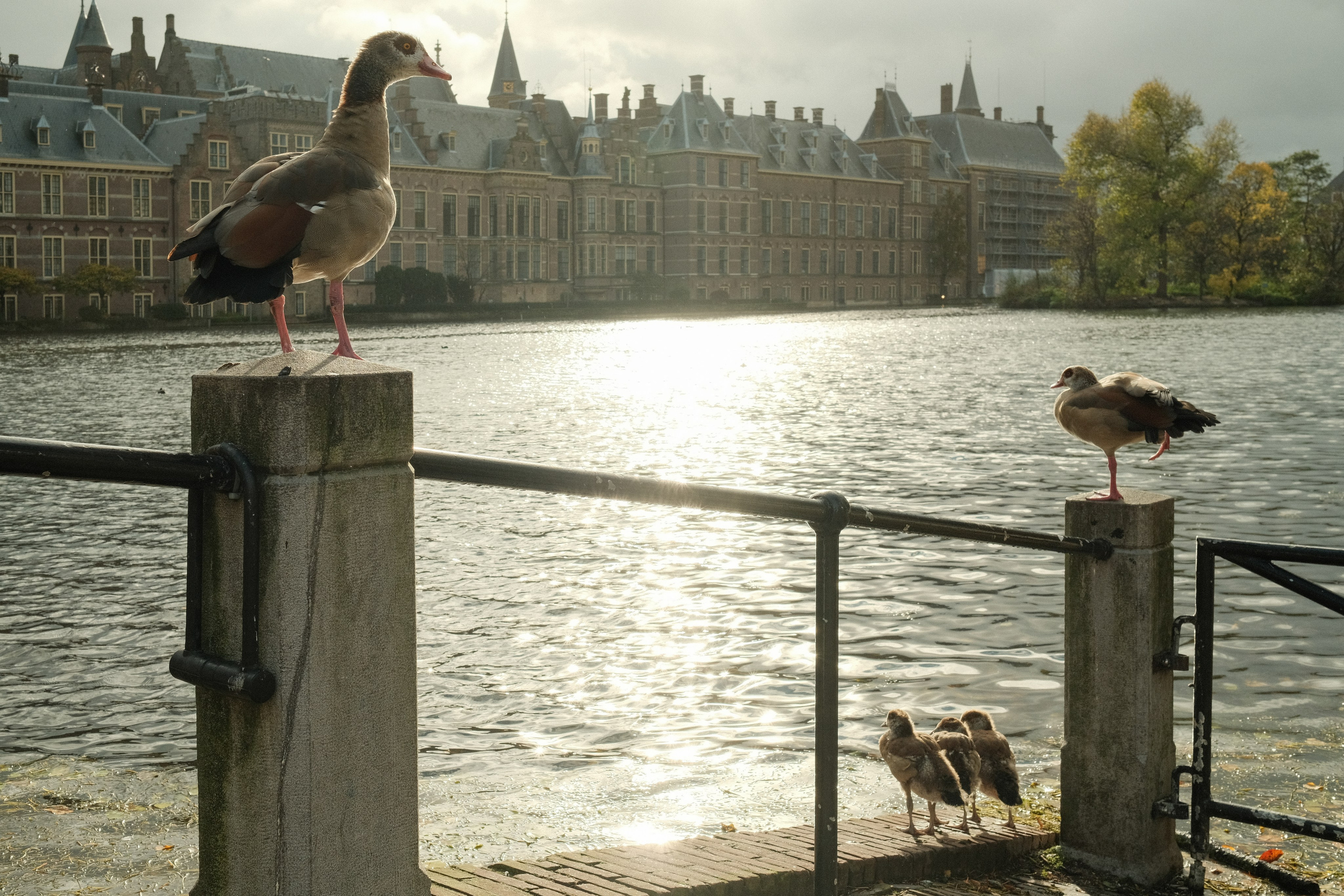 Фотографии Нидерландов | Филипп Линзин. Репортажный и портретный фотограф в Санкт-Петербурге Филипп Линзин