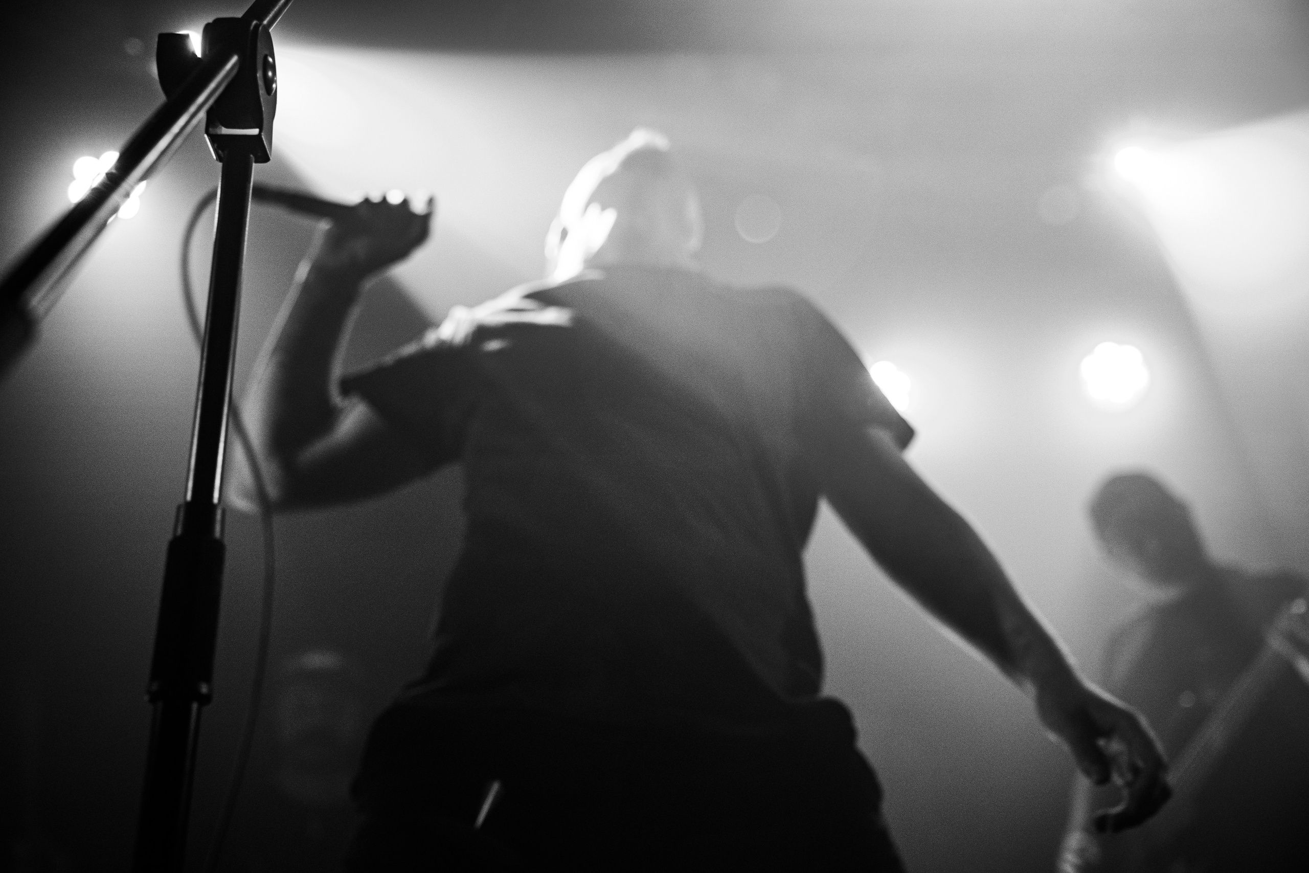 Lesnik • ШШШ • Laugar • DØRER|Zoccolo 2.0. Концертный и репортажный фотограф в Санкт-Петербурге Слава Пахомов