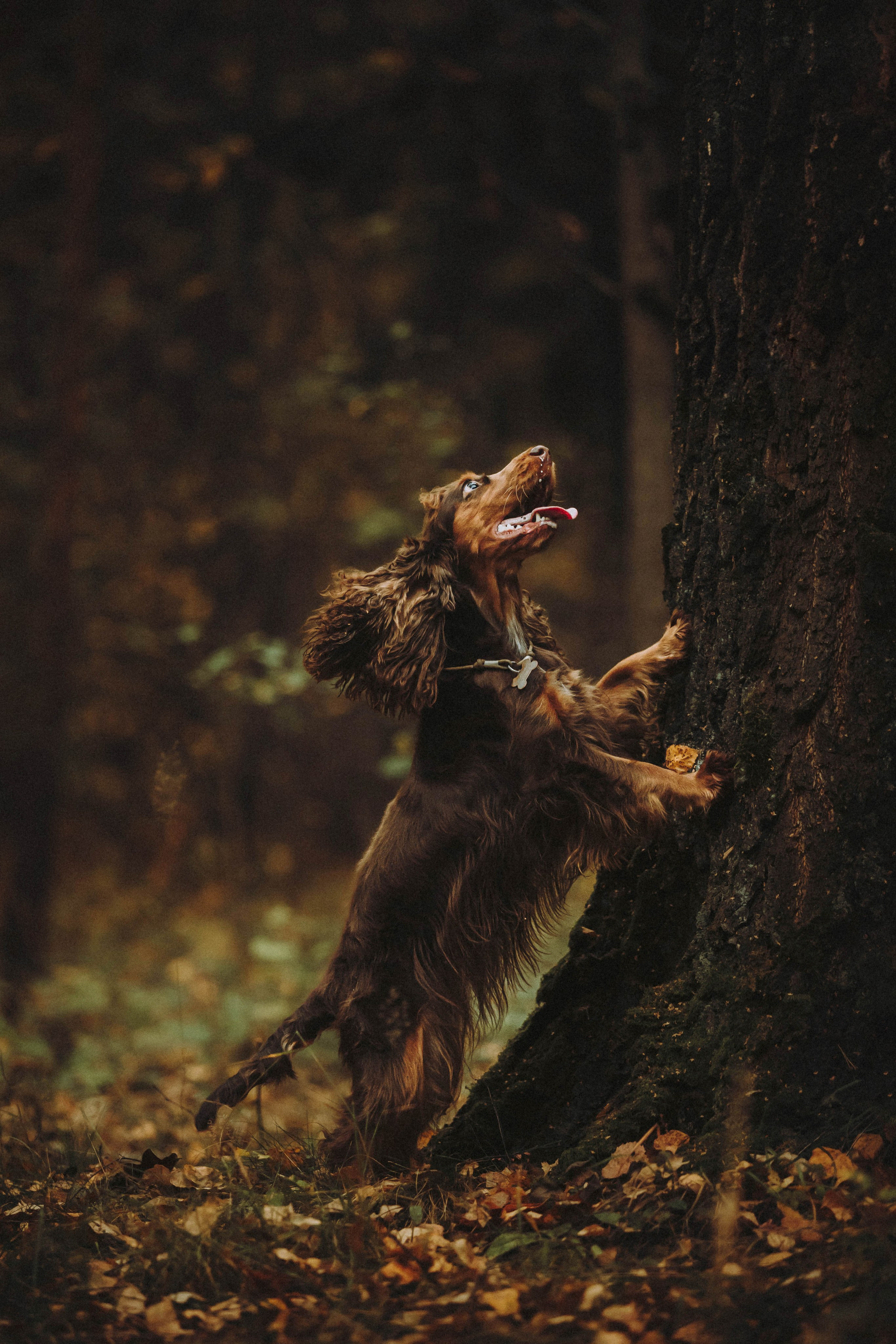 Настя, Саша и Эстер