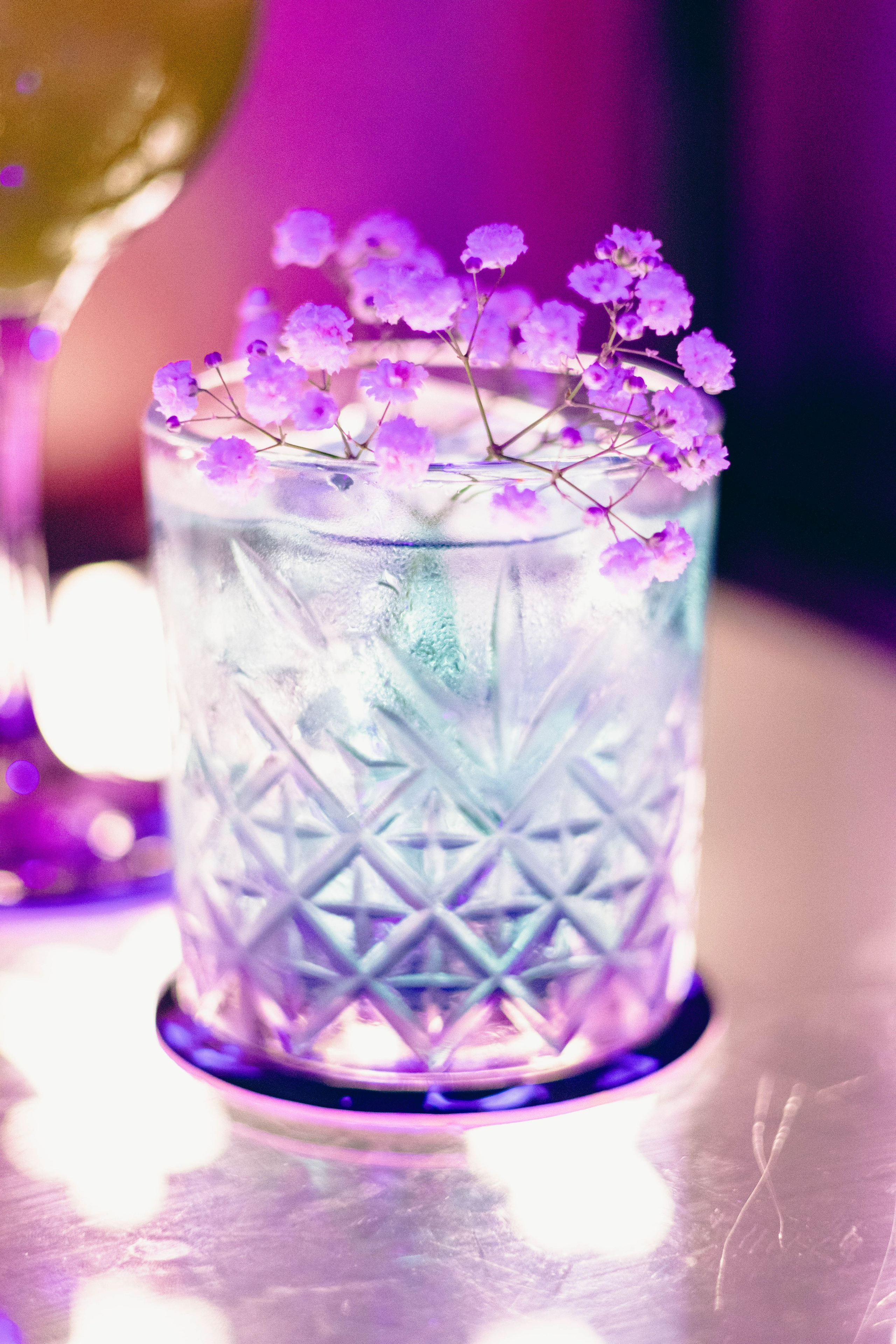 Коктейли. Jean De Vivre Gallery