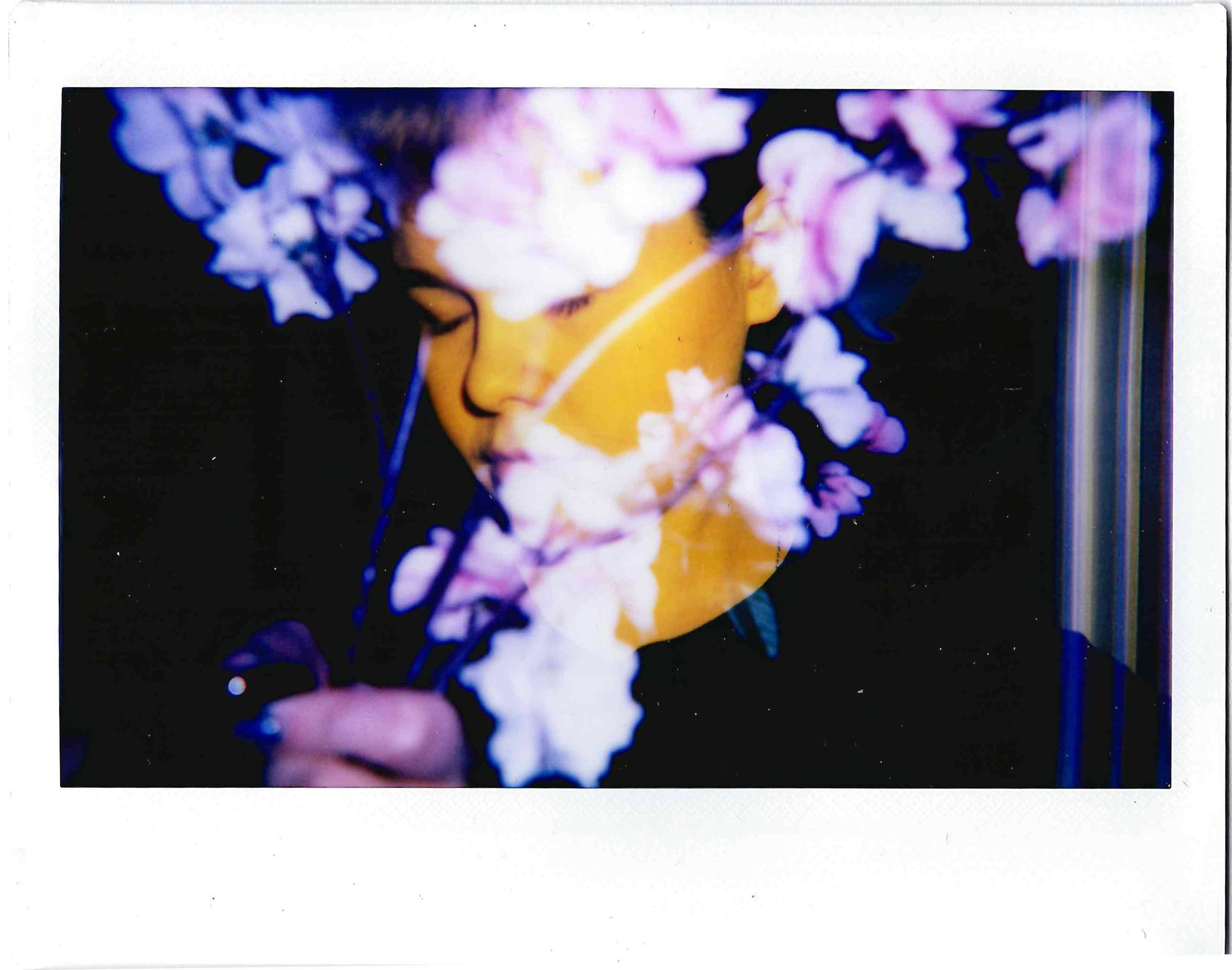 Полароиды. Катерина Эделева