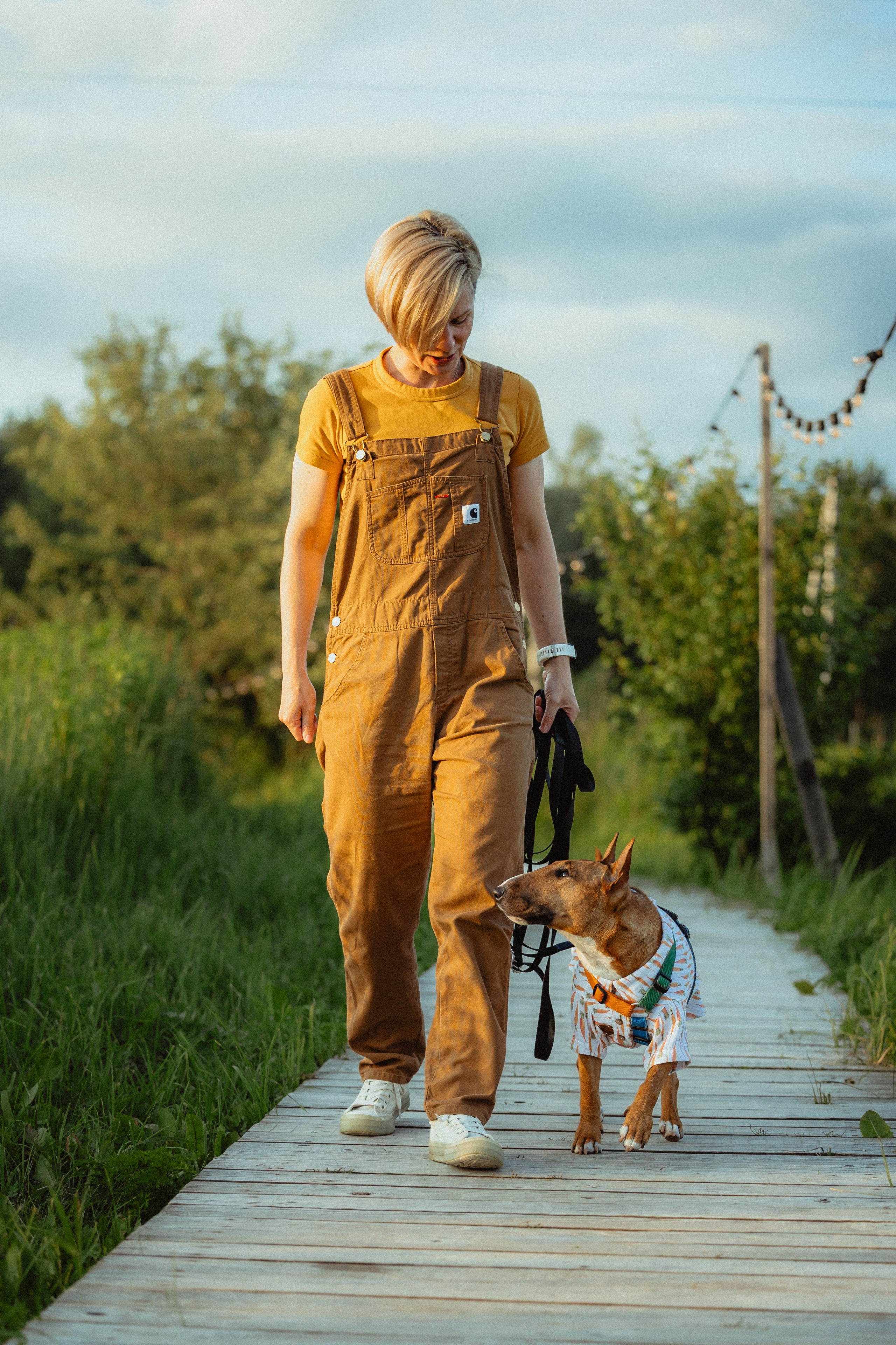 Выездной дог-тренинг от школы «Шерсть имею»