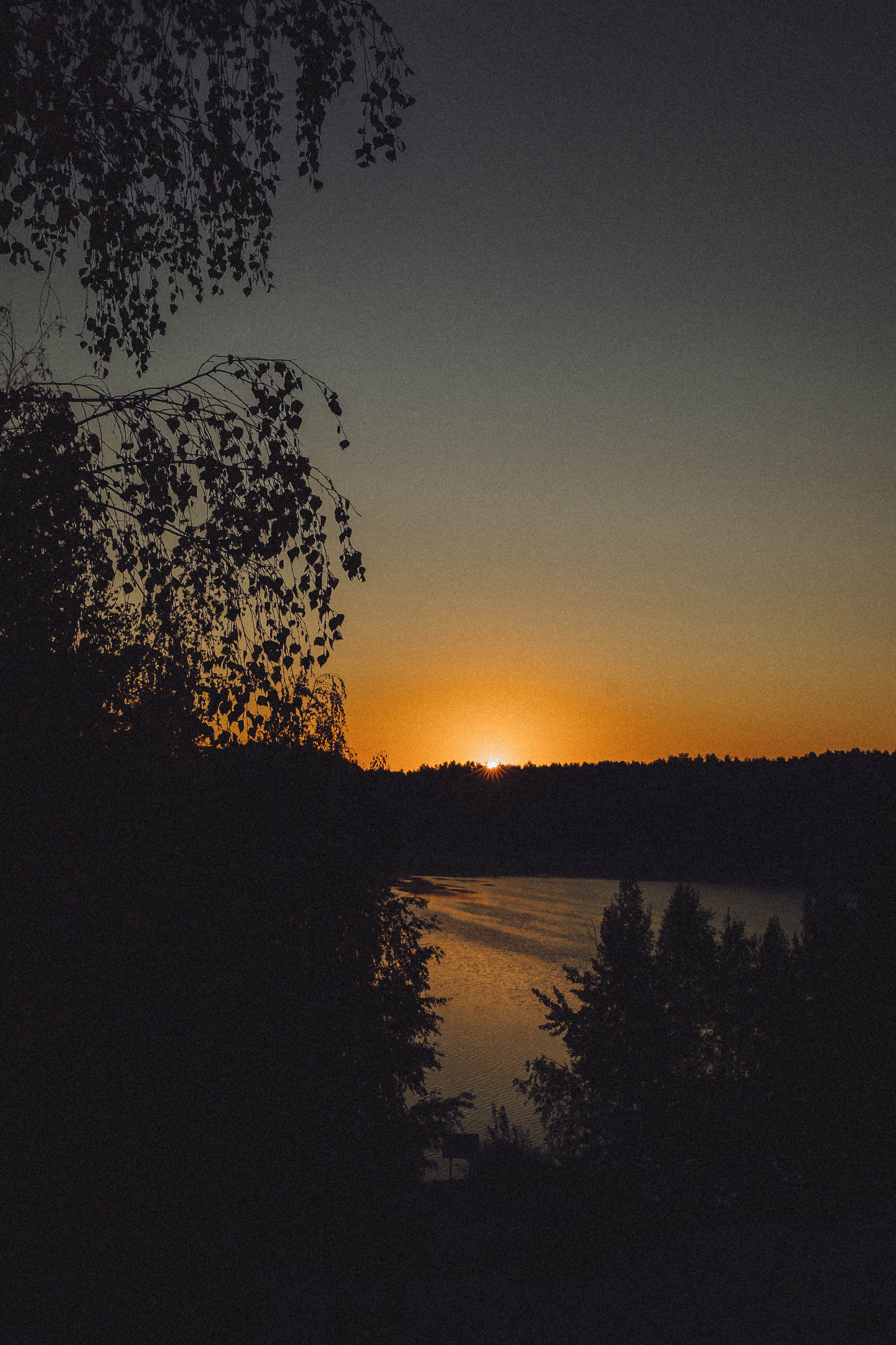 Таня, Ерш и Оллик