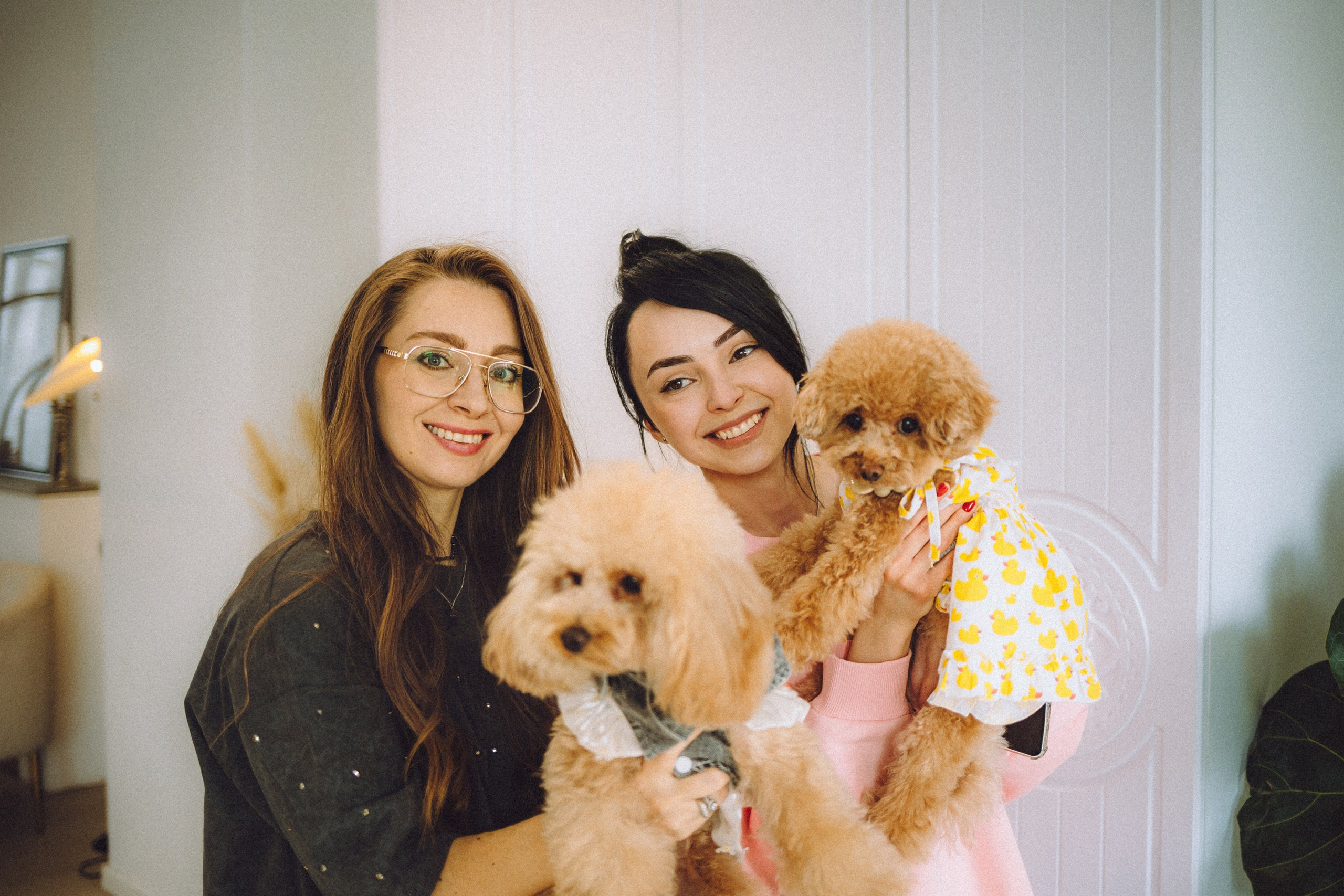 День Рождения пуделя Глаши